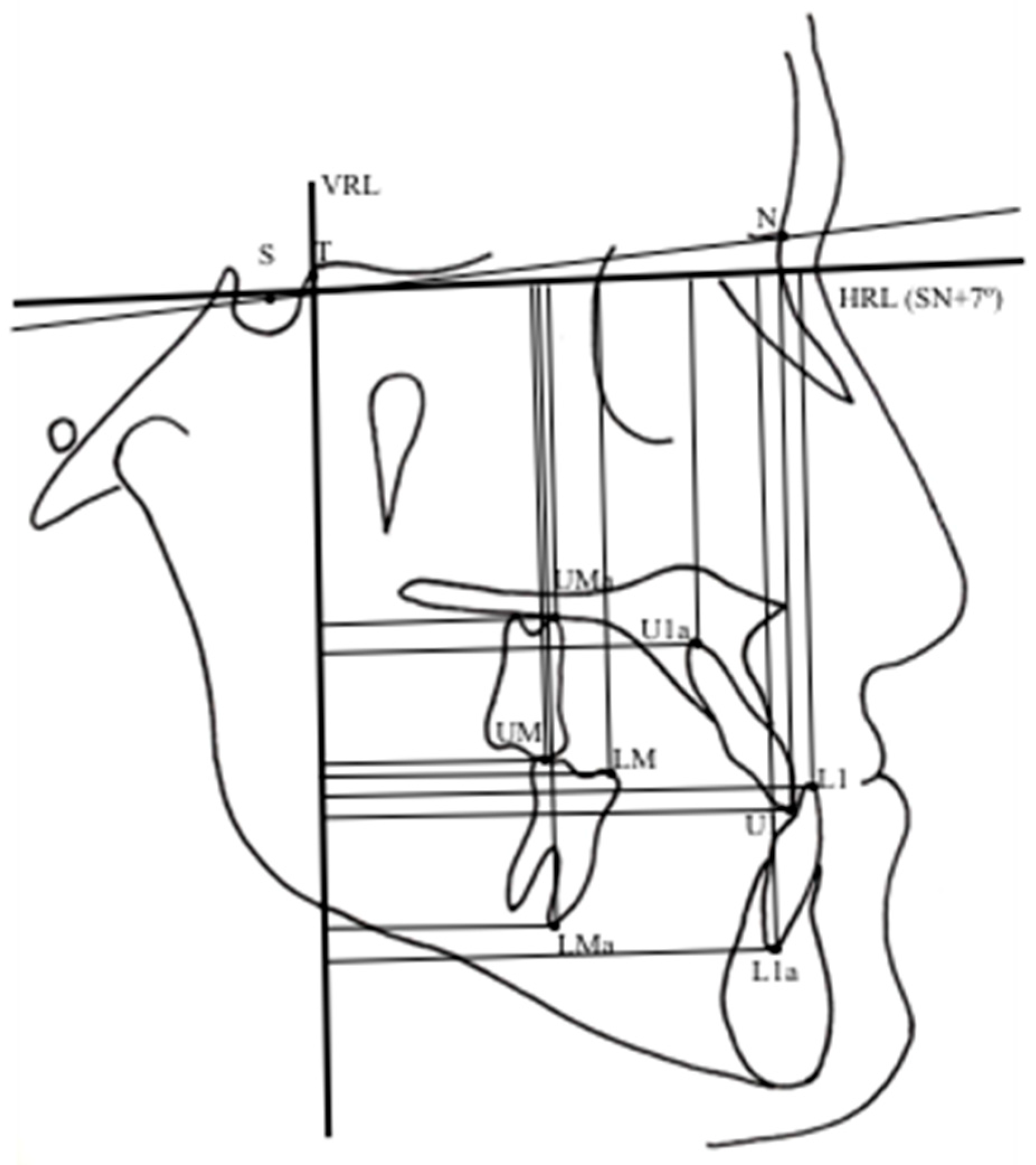 Preprints 191343 g007