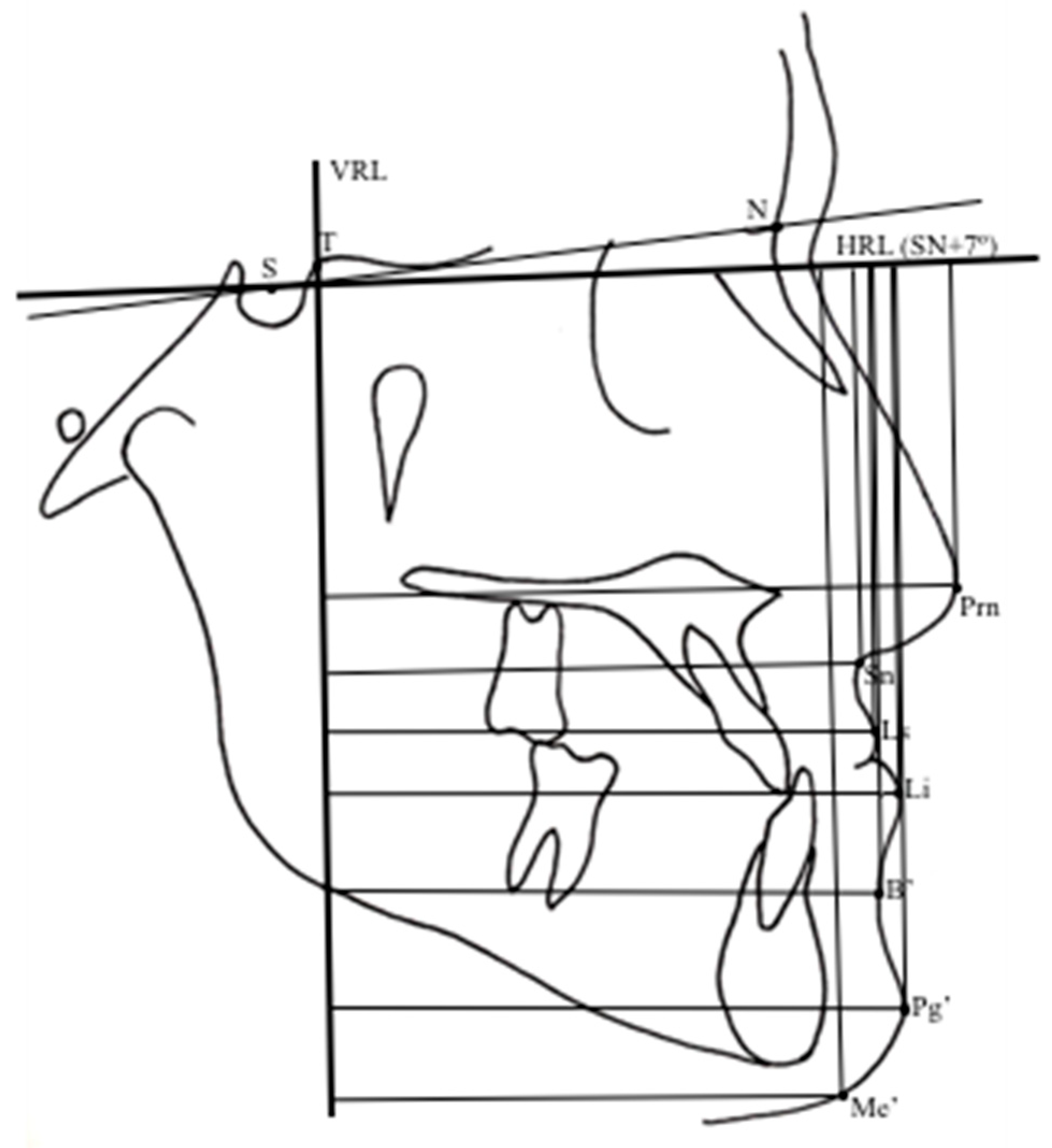 Preprints 191343 g008