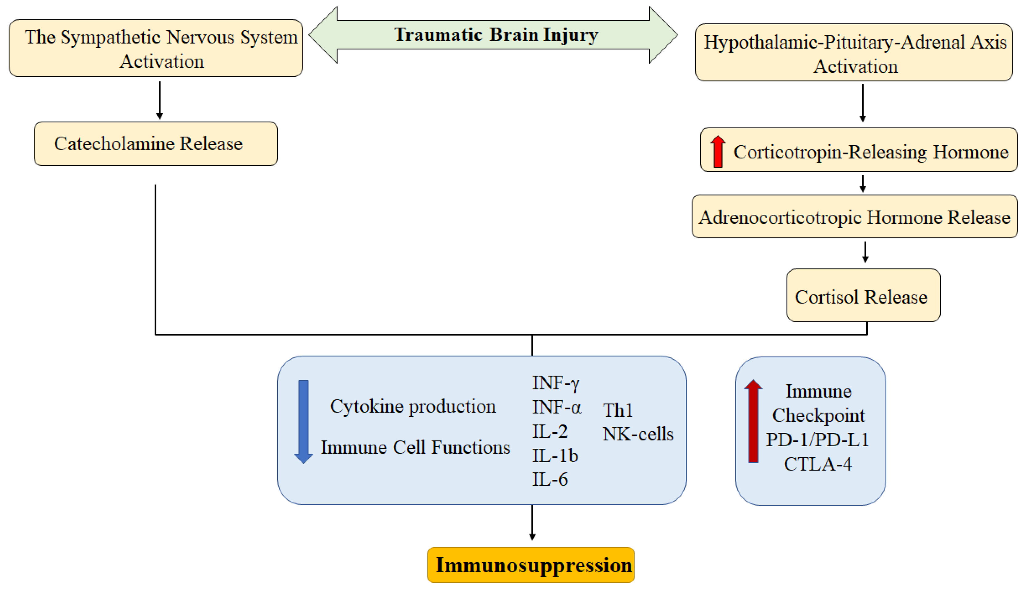 Preprints 189272 g001
