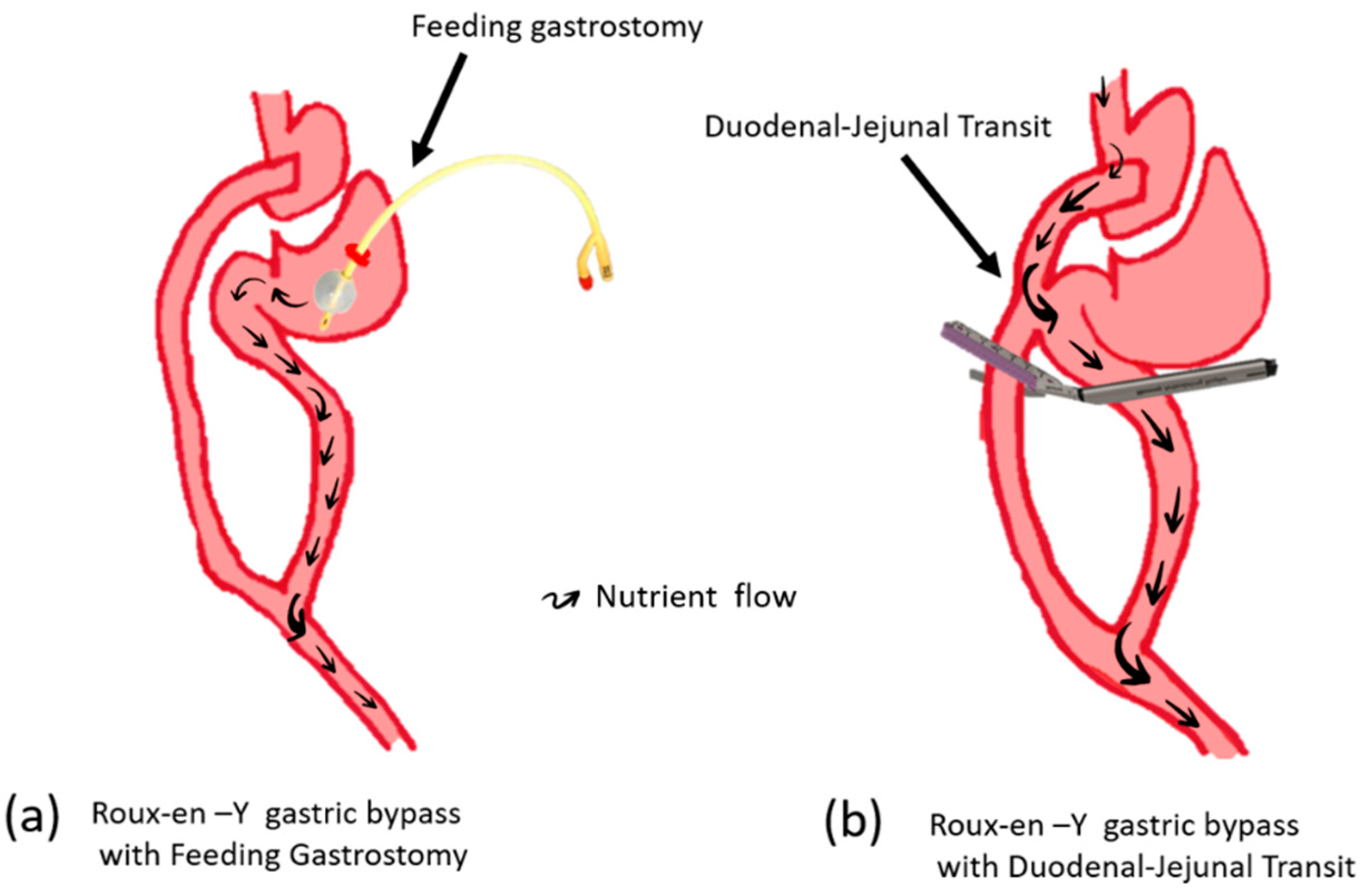 Preprints 85362 g001