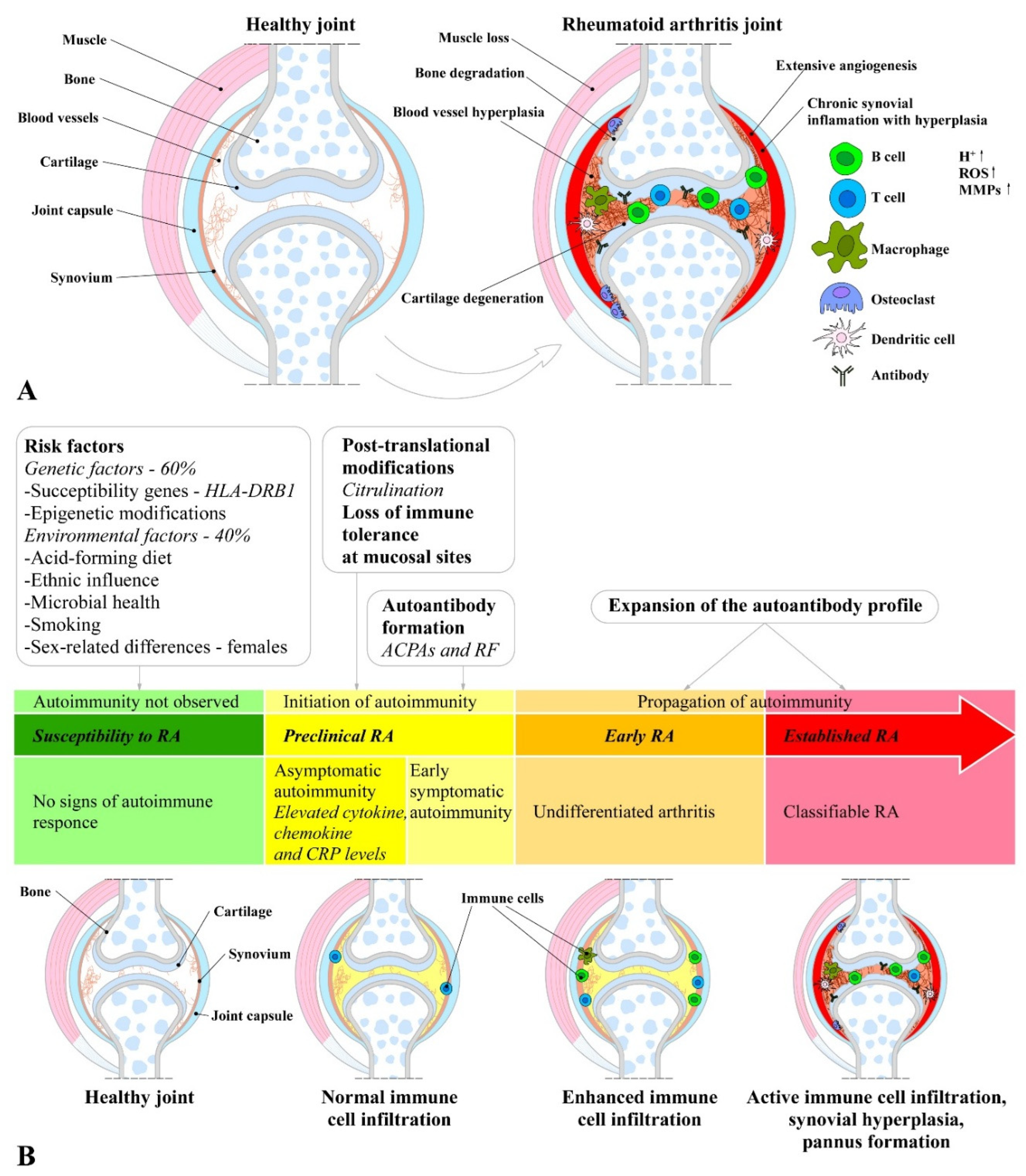 Preprints 163792 g001