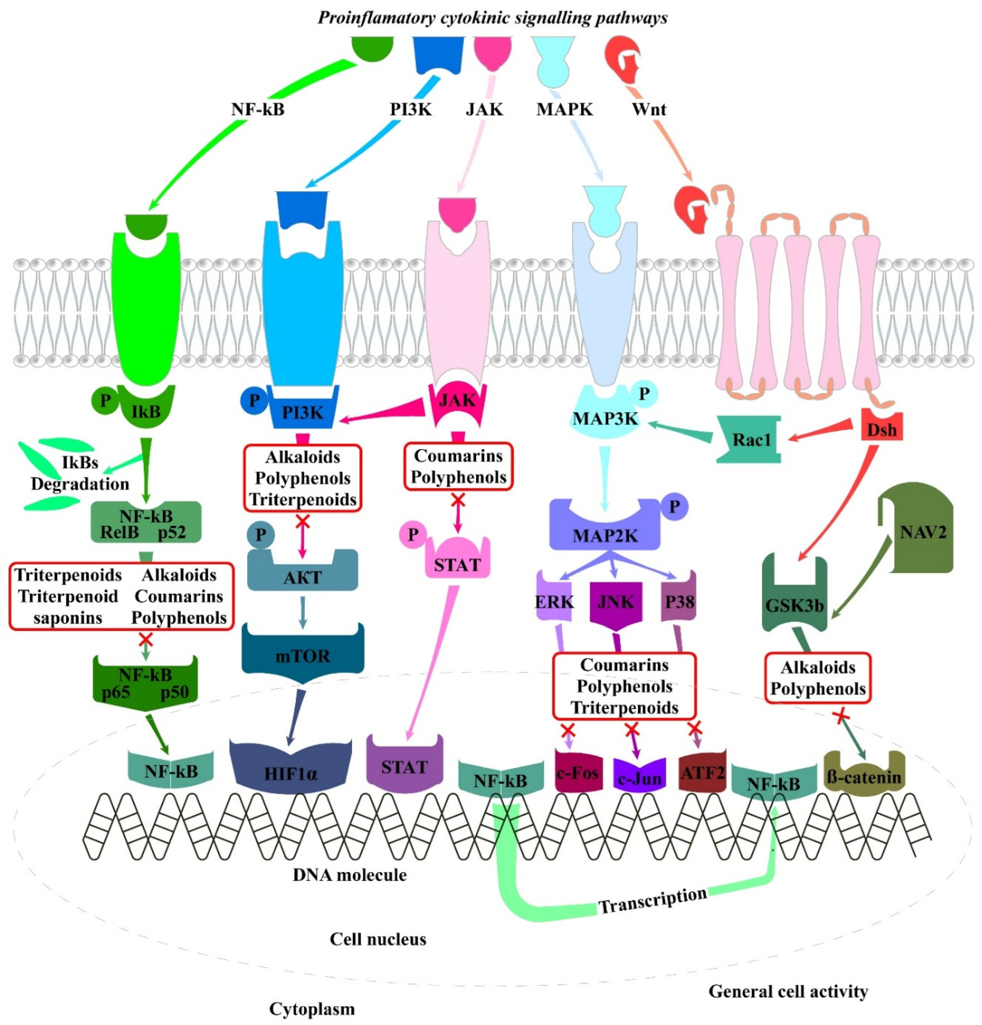 Preprints 163792 g003