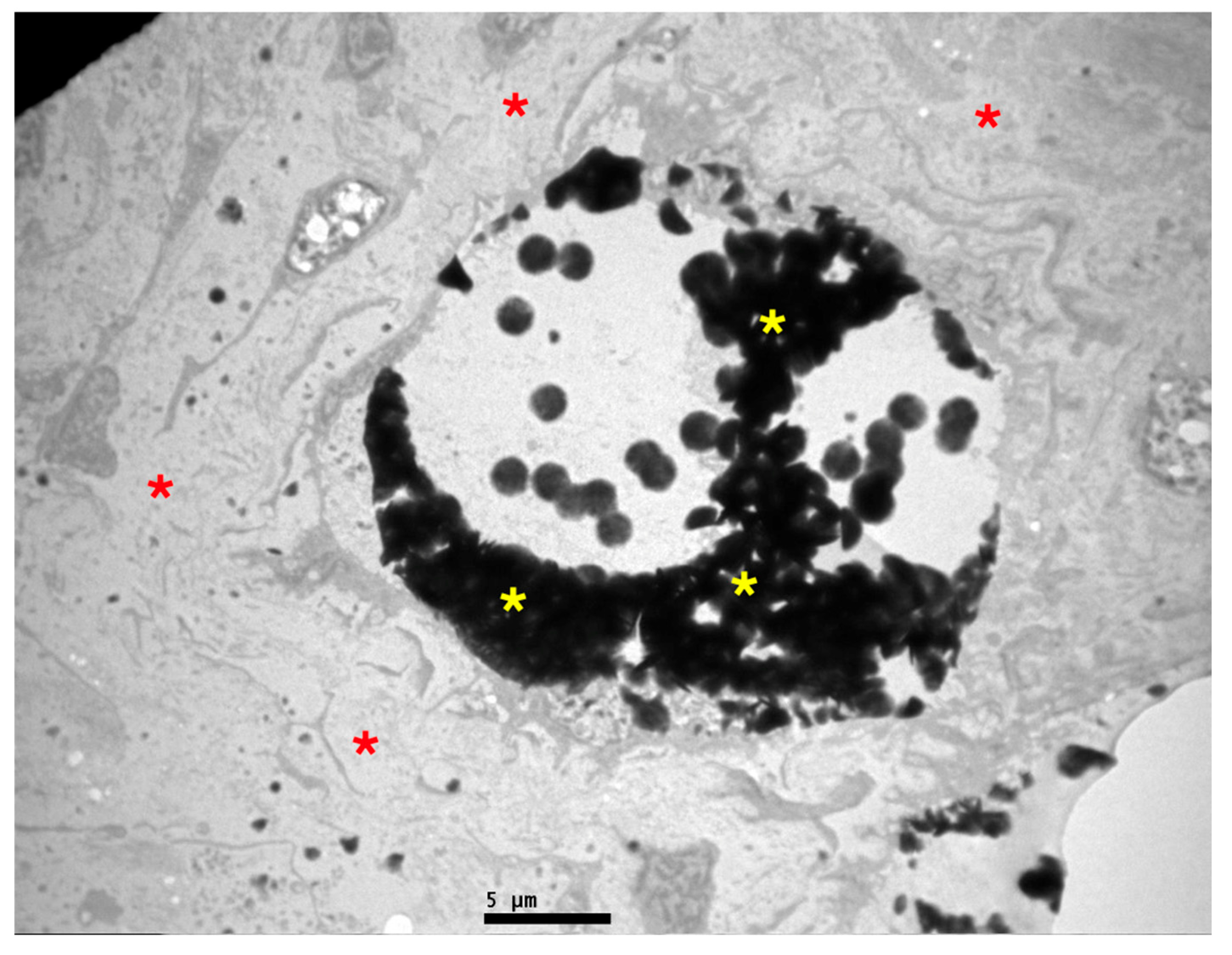 Preprints 227257 g008