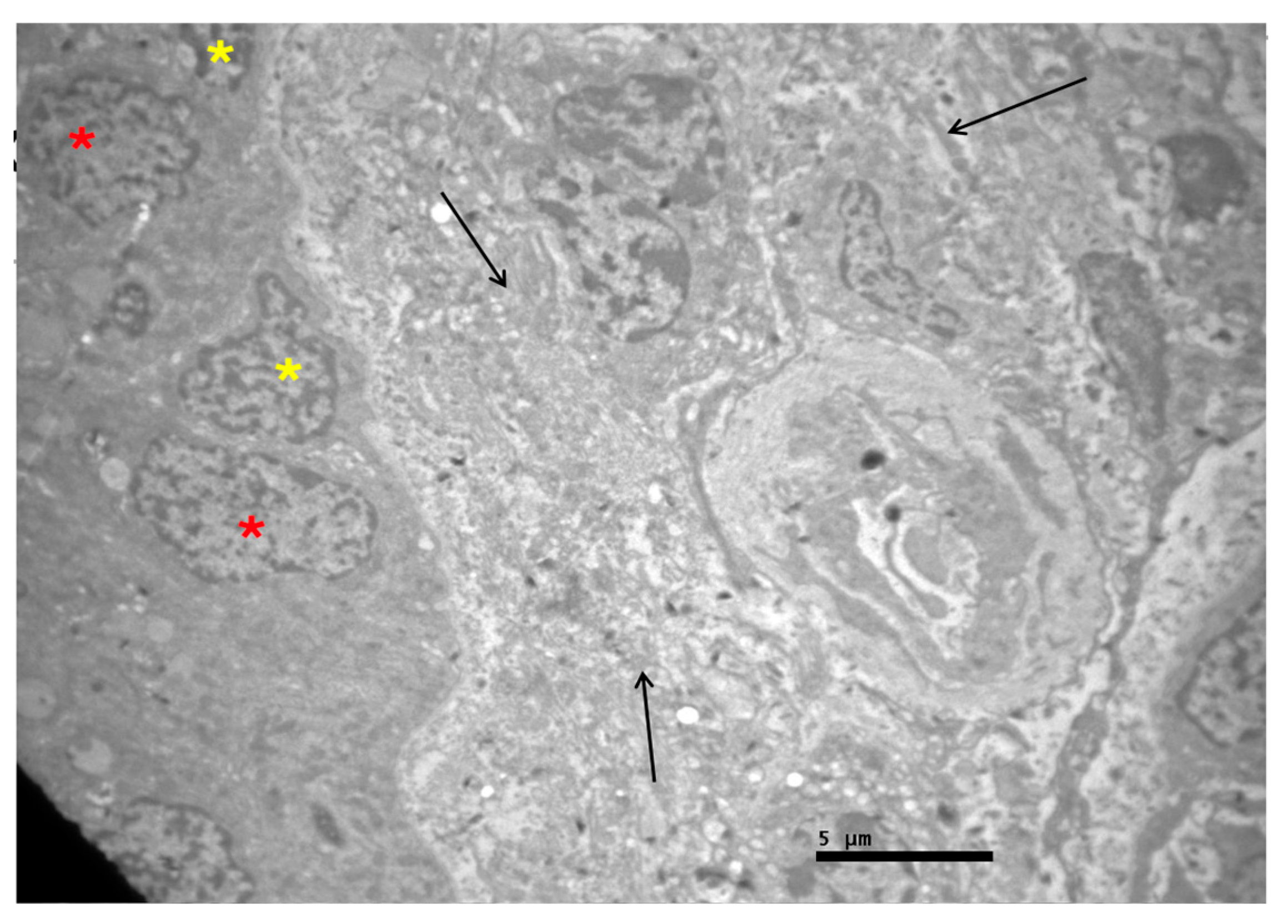 Preprints 227257 g009