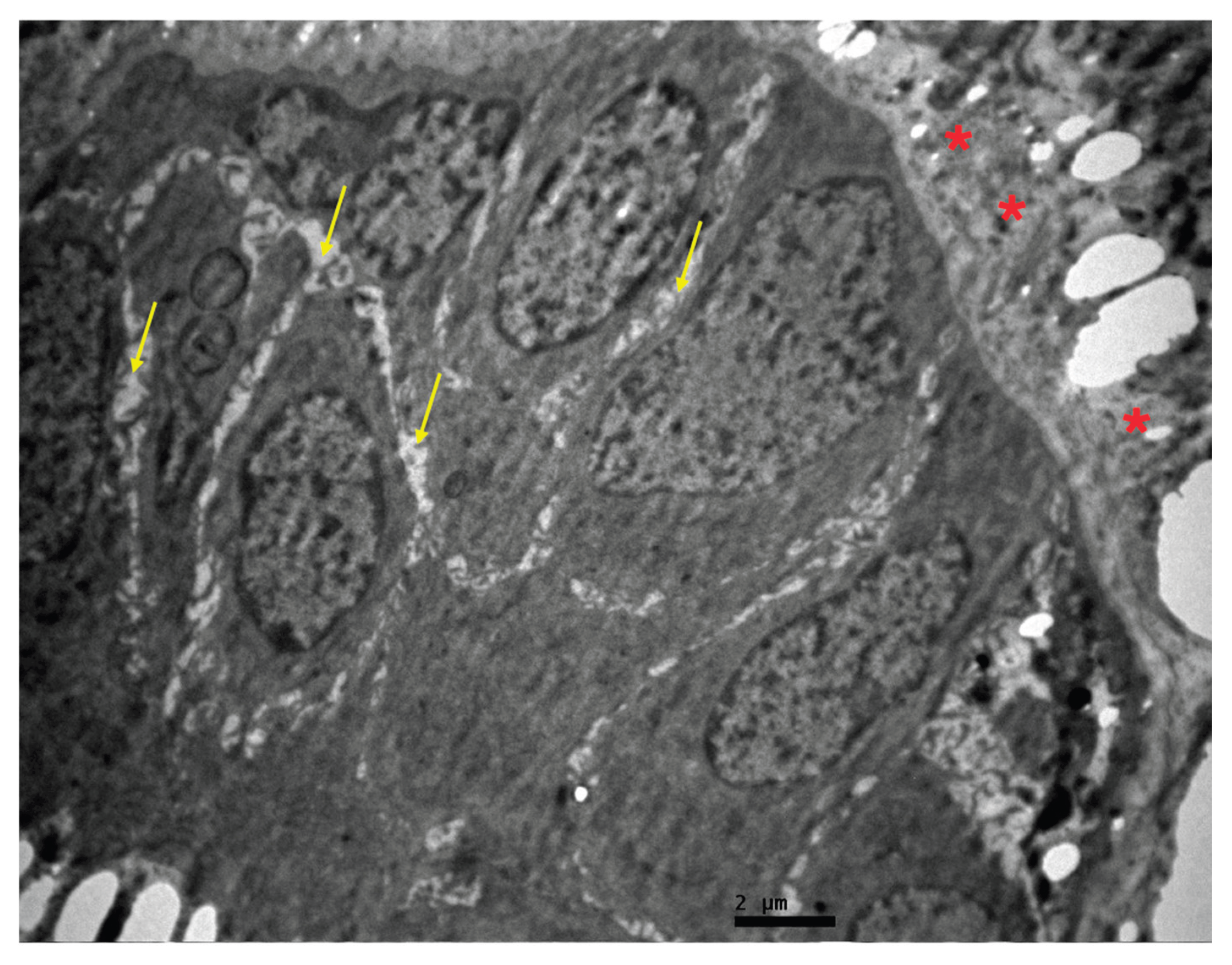 Preprints 227257 g011