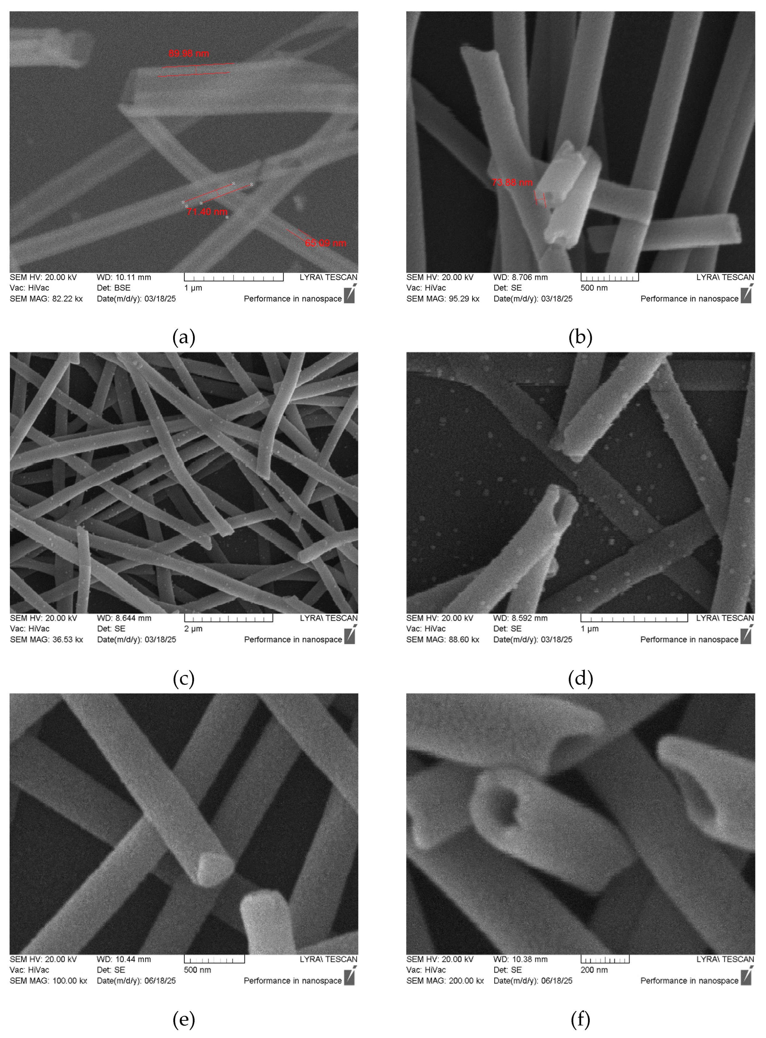 Preprints 169571 g003