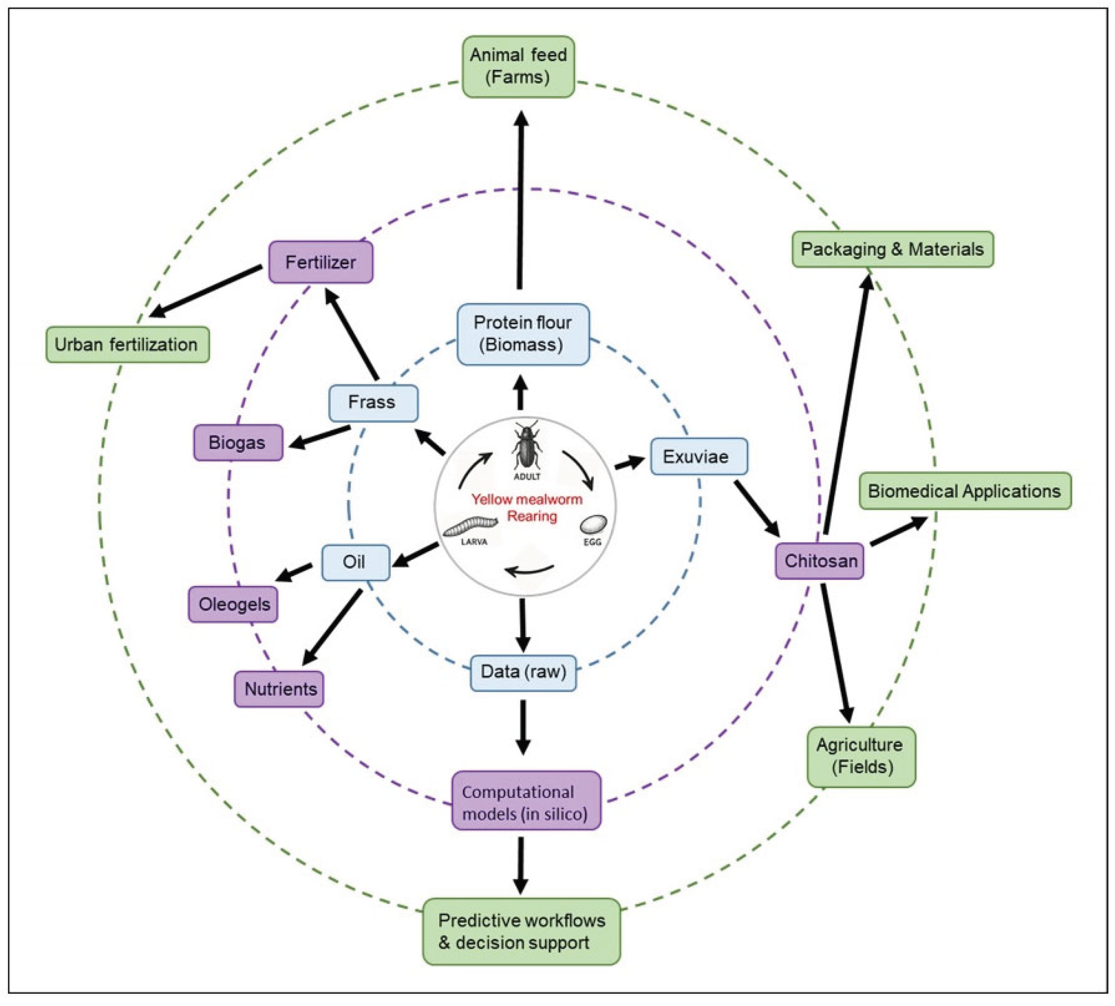 Preprints 182562 g001