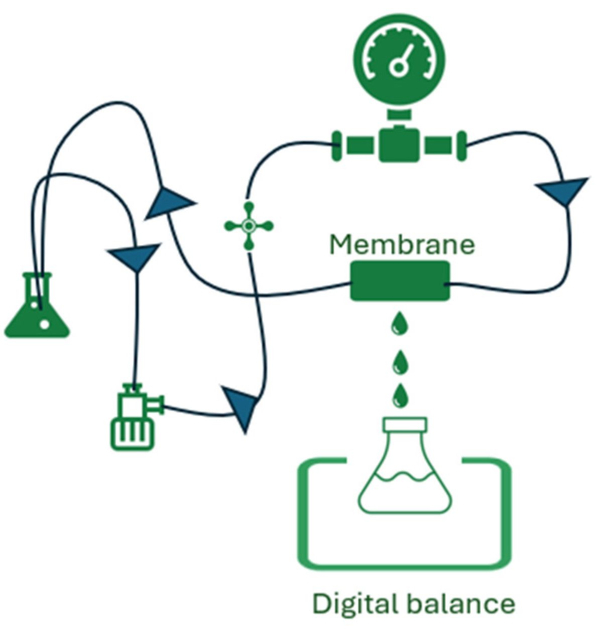 Preprints 139130 g002