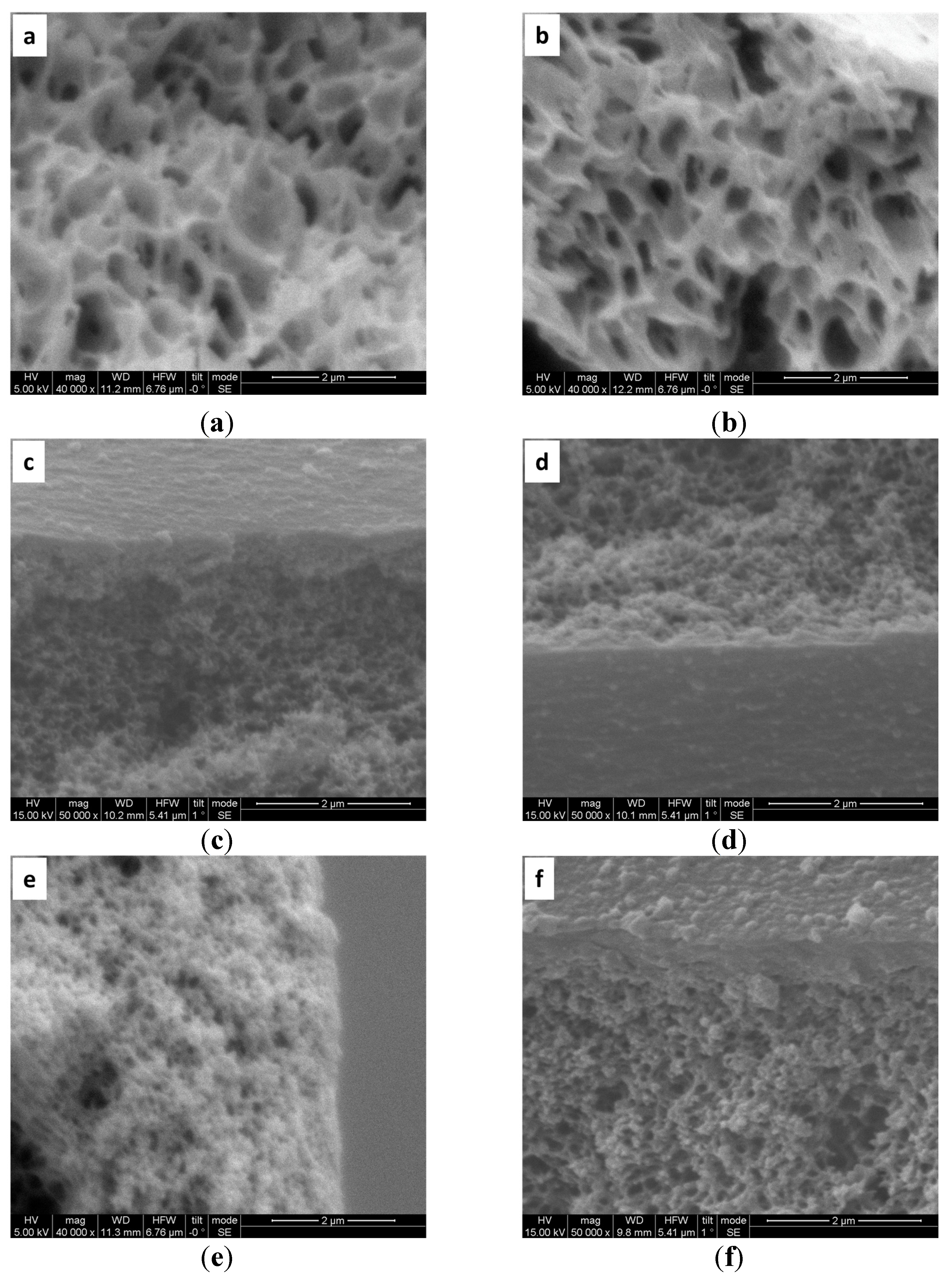 Preprints 139130 g003