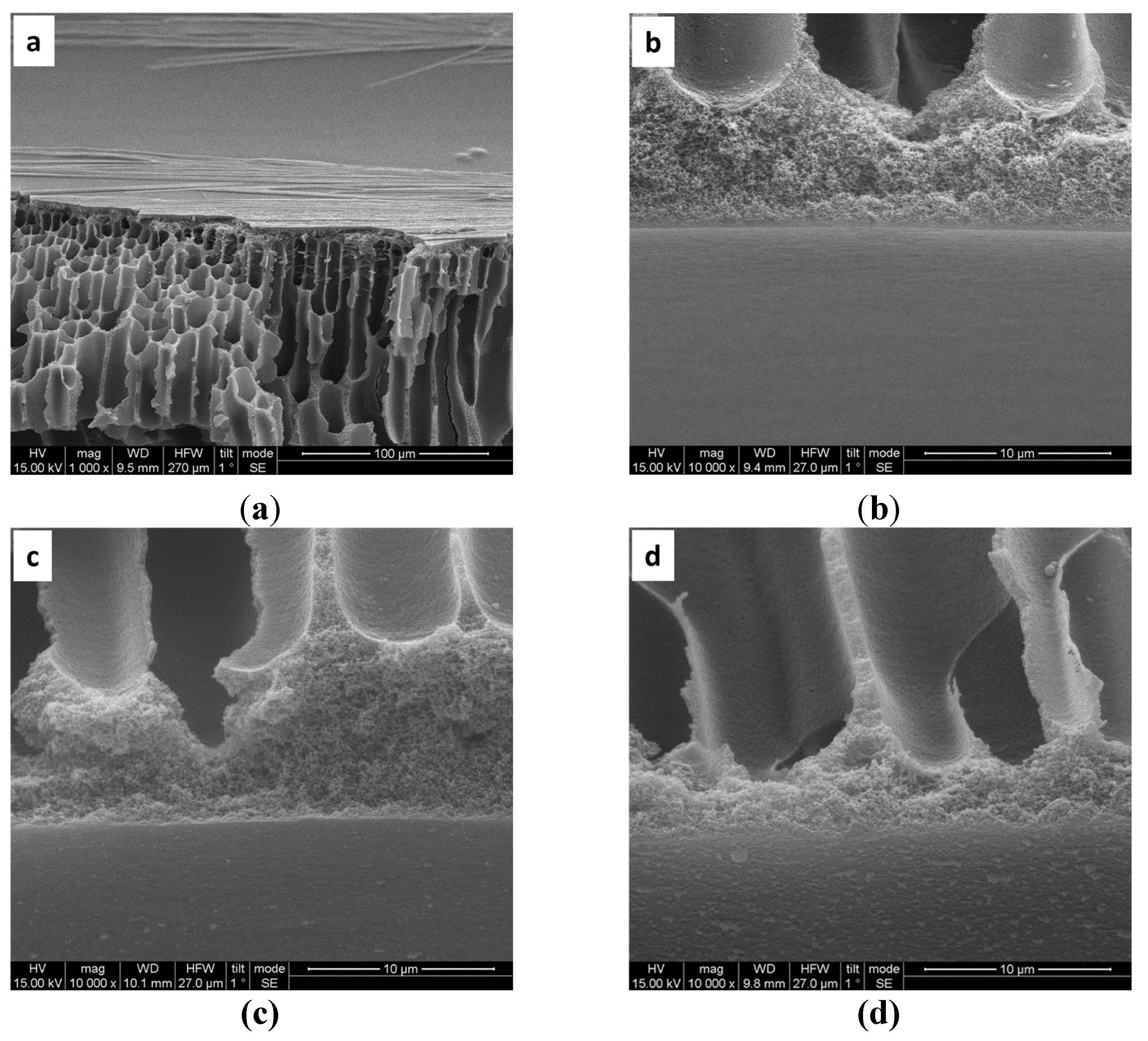 Preprints 139130 g004
