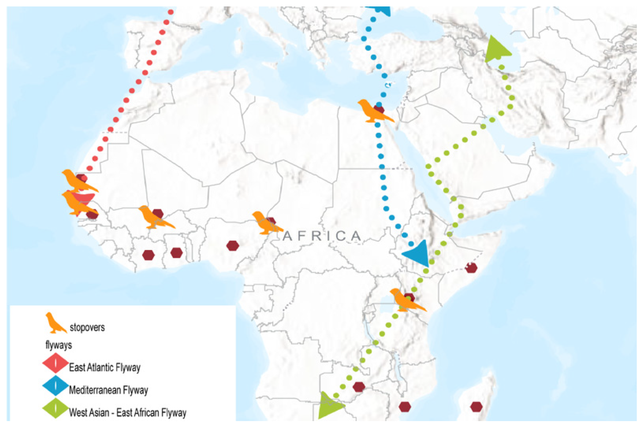 Preprints 176124 g001
