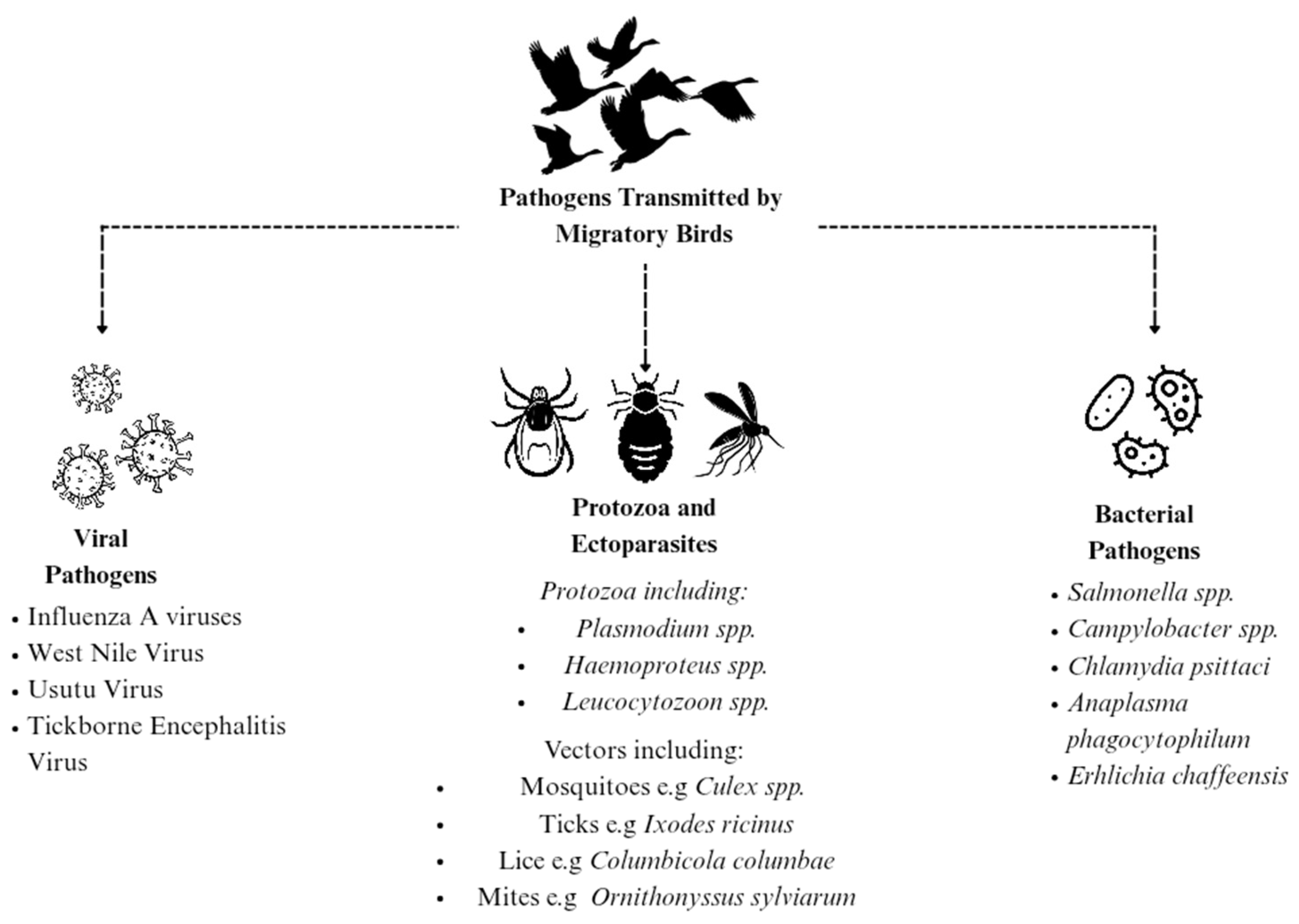 Preprints 176124 g002