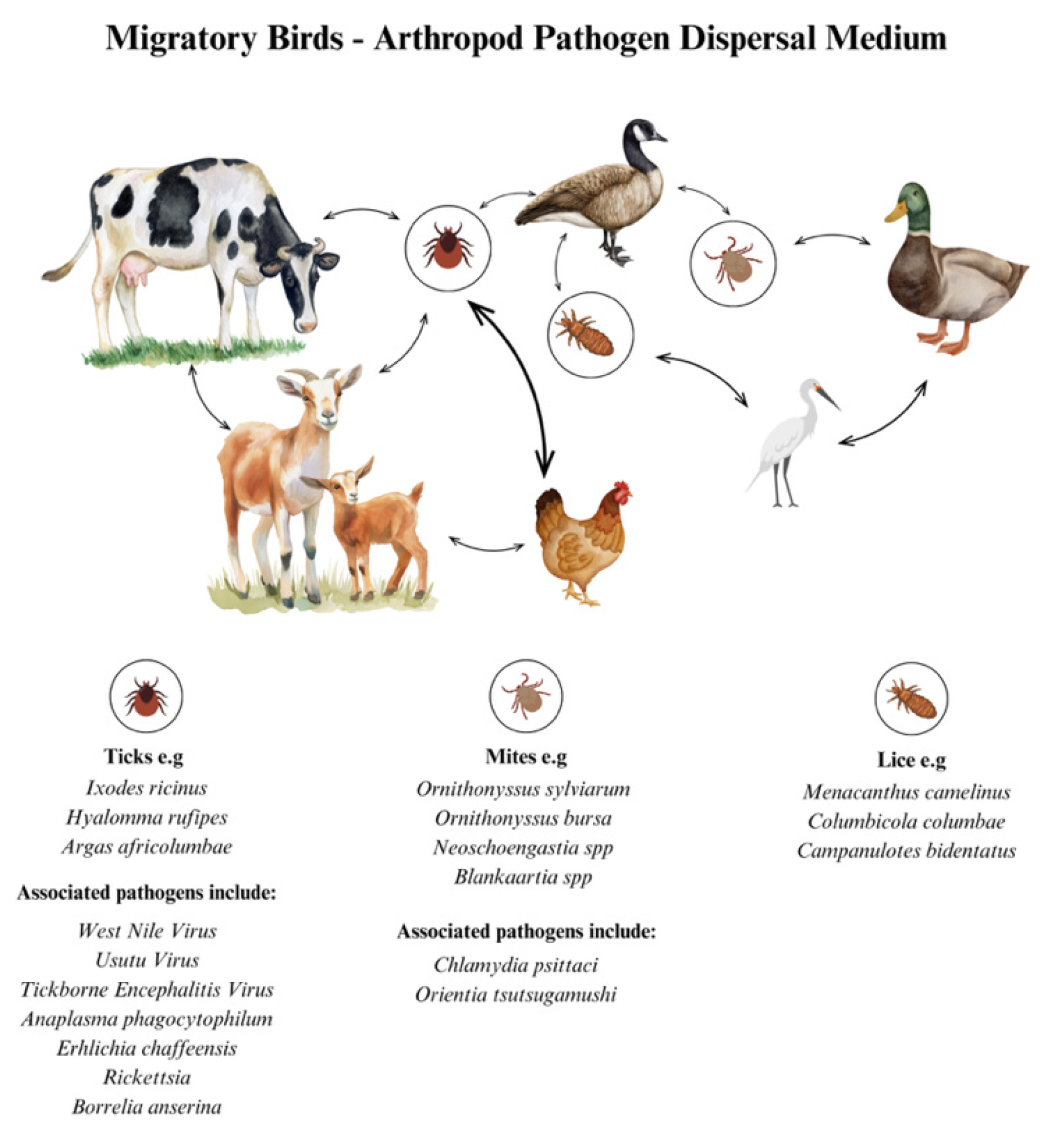Preprints 176124 g003