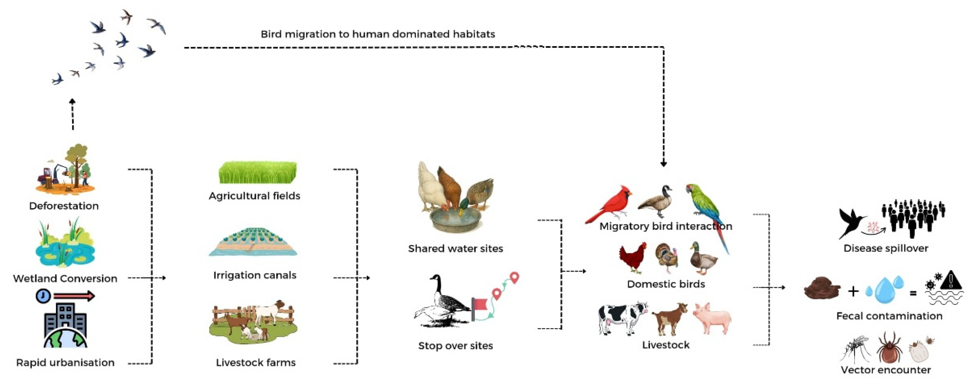 Preprints 176124 g005