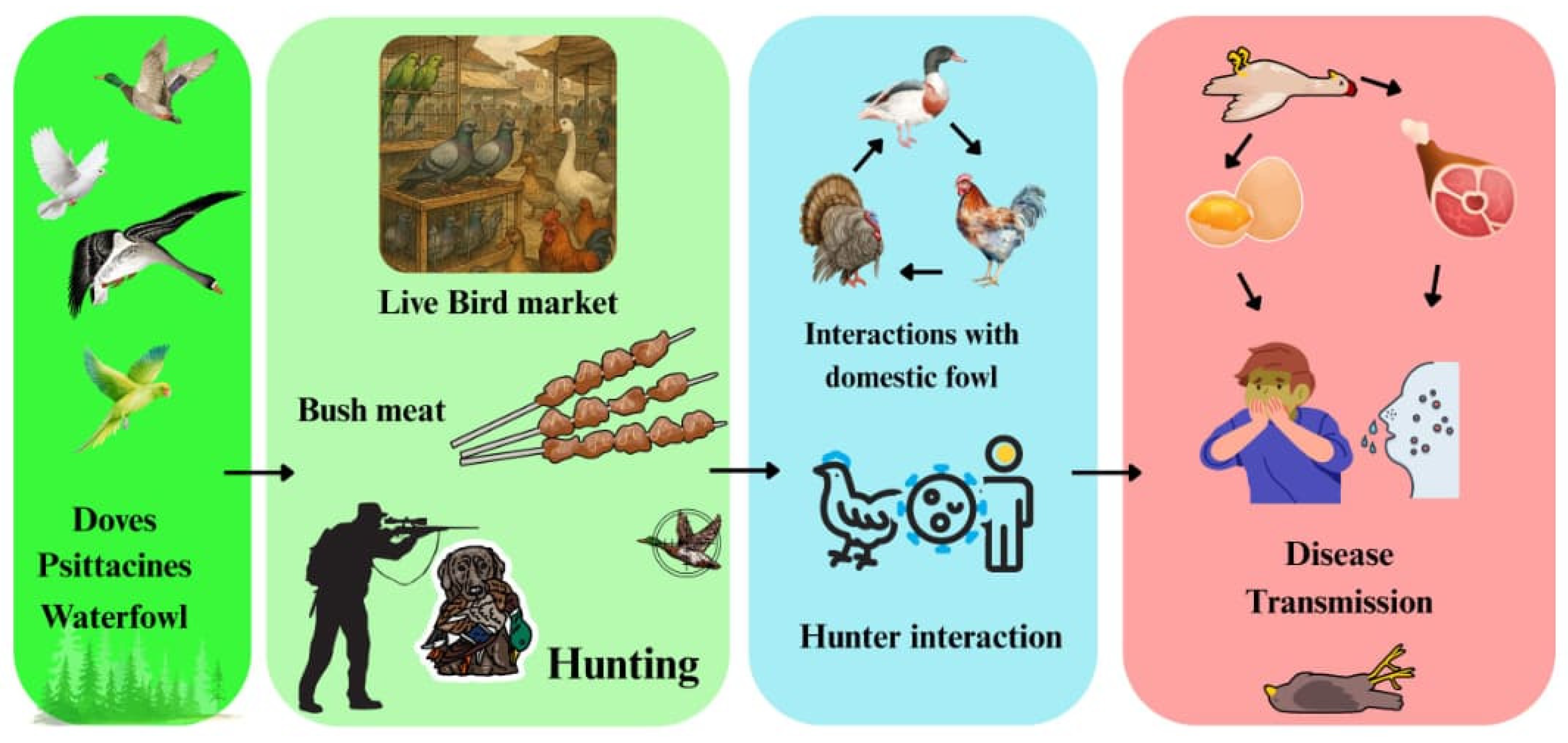 Preprints 176124 g006