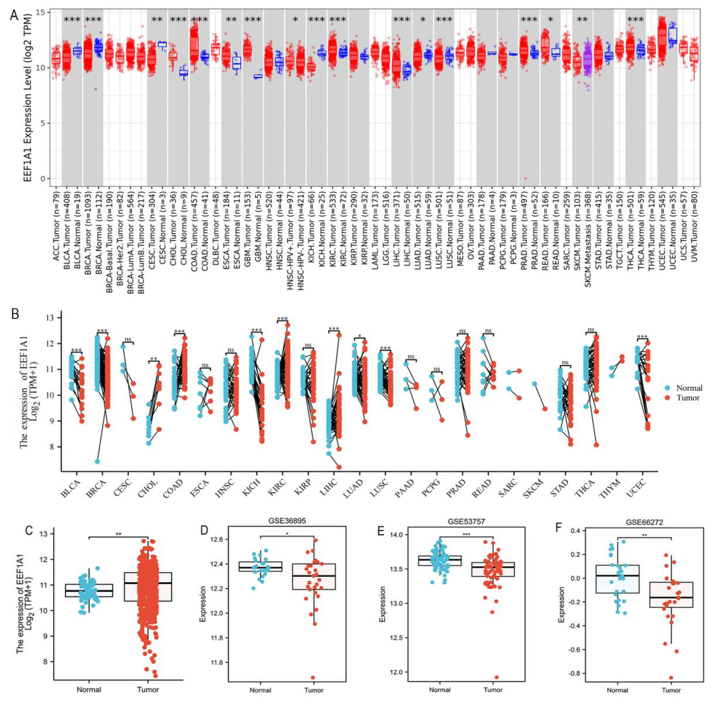 Preprints 216660 g001 Preprints 216660 g001
