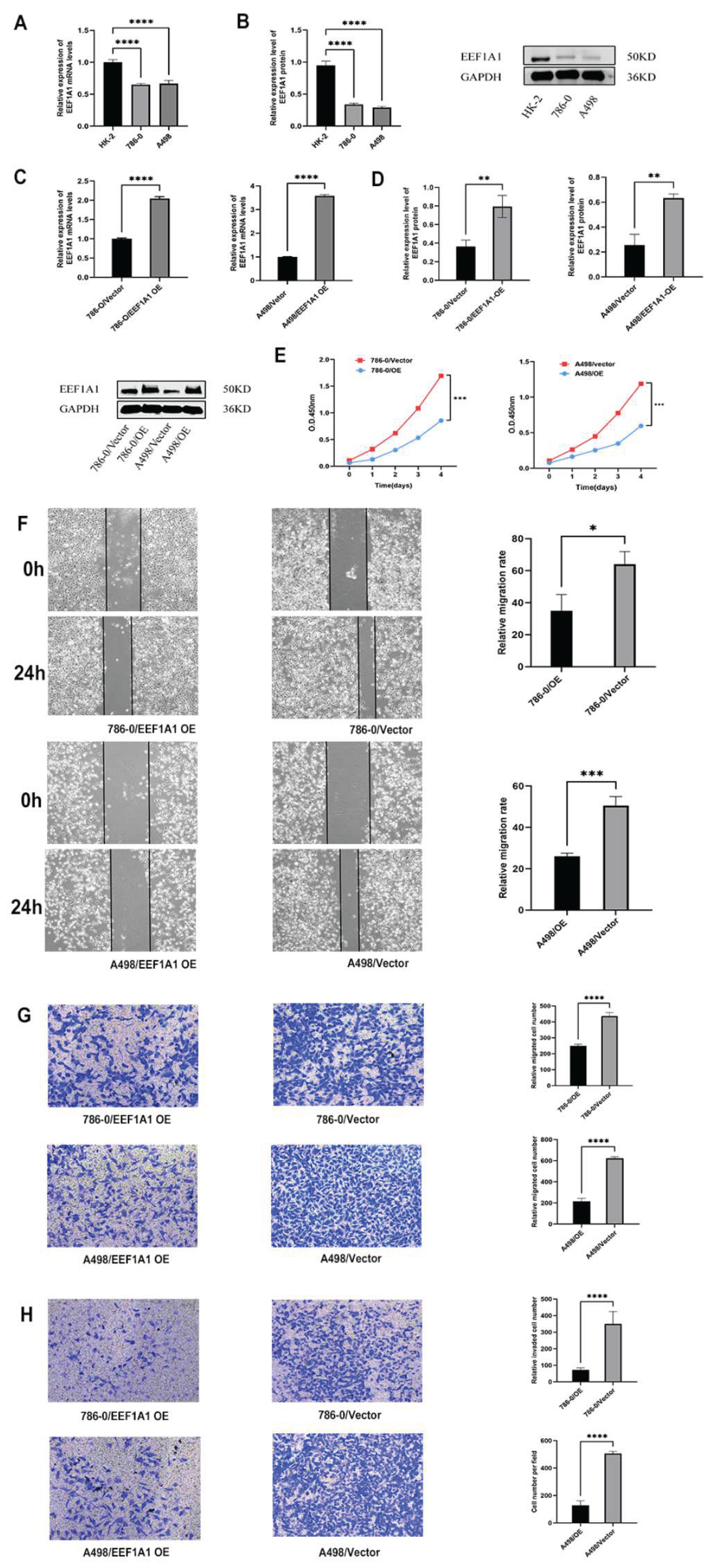 Preprints 216660 g008 Preprints 216660 g008