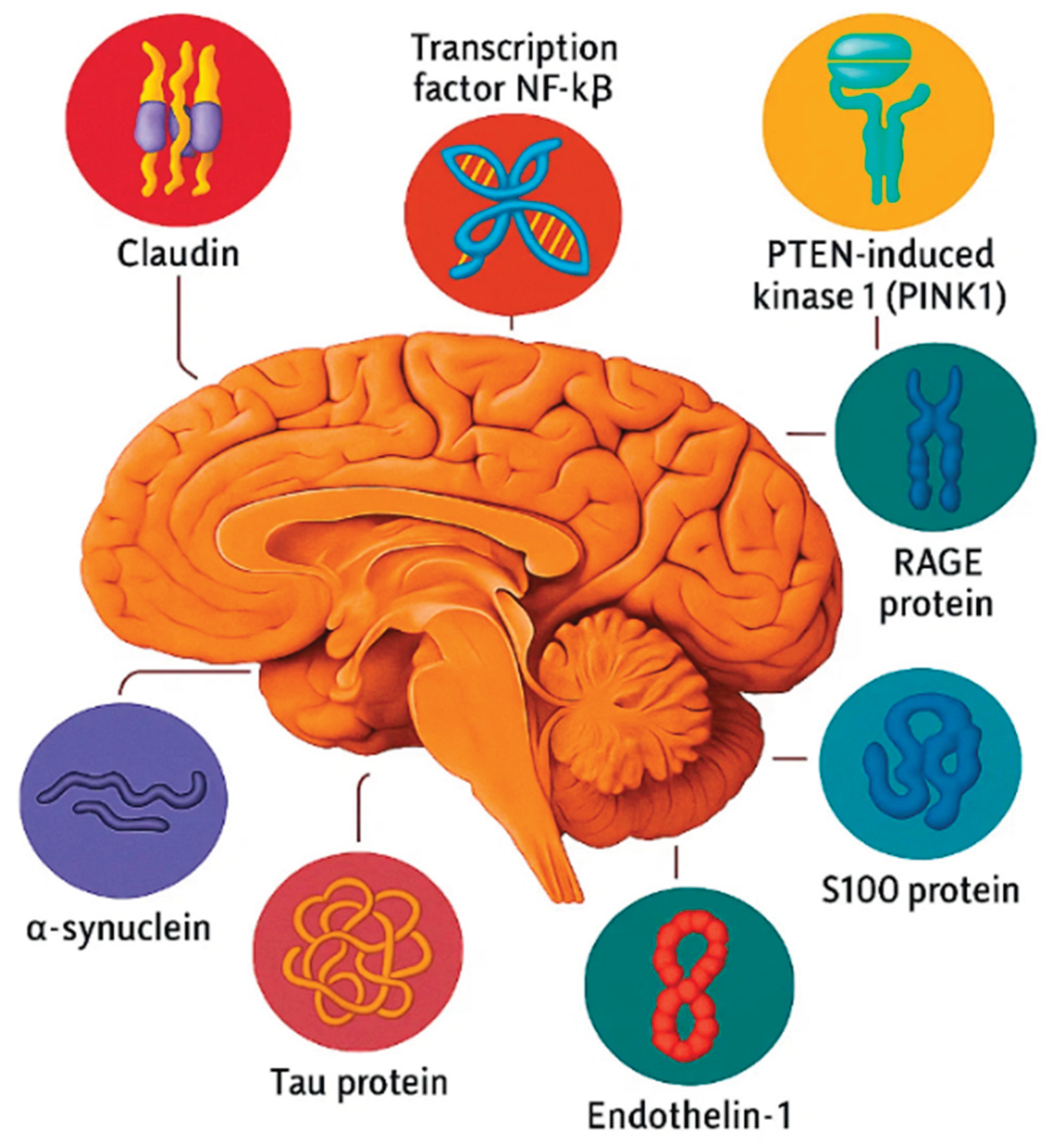 Preprints 184829 g001