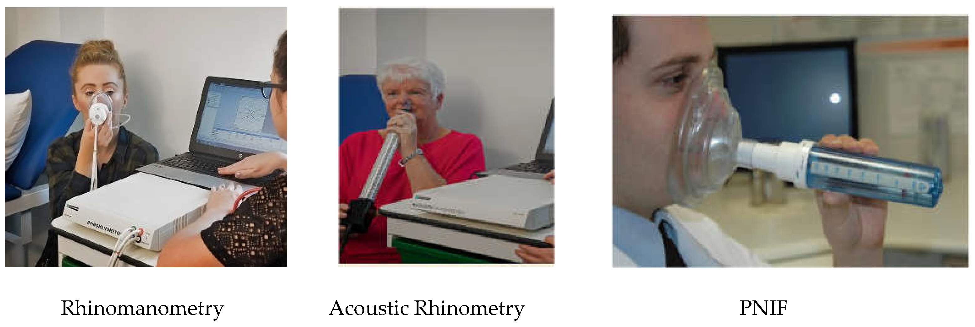 Preprints 69214 g002