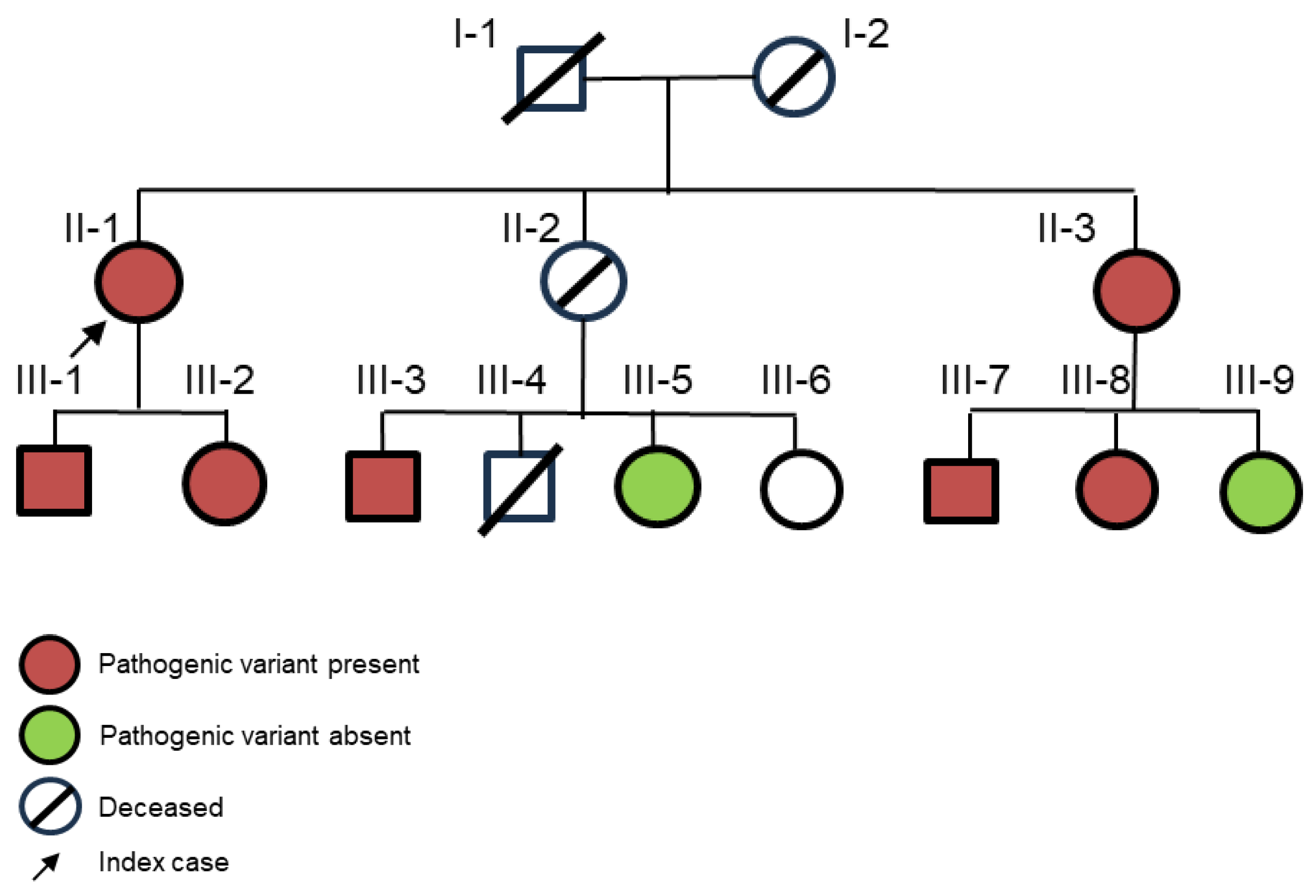 Preprints 209419 g001