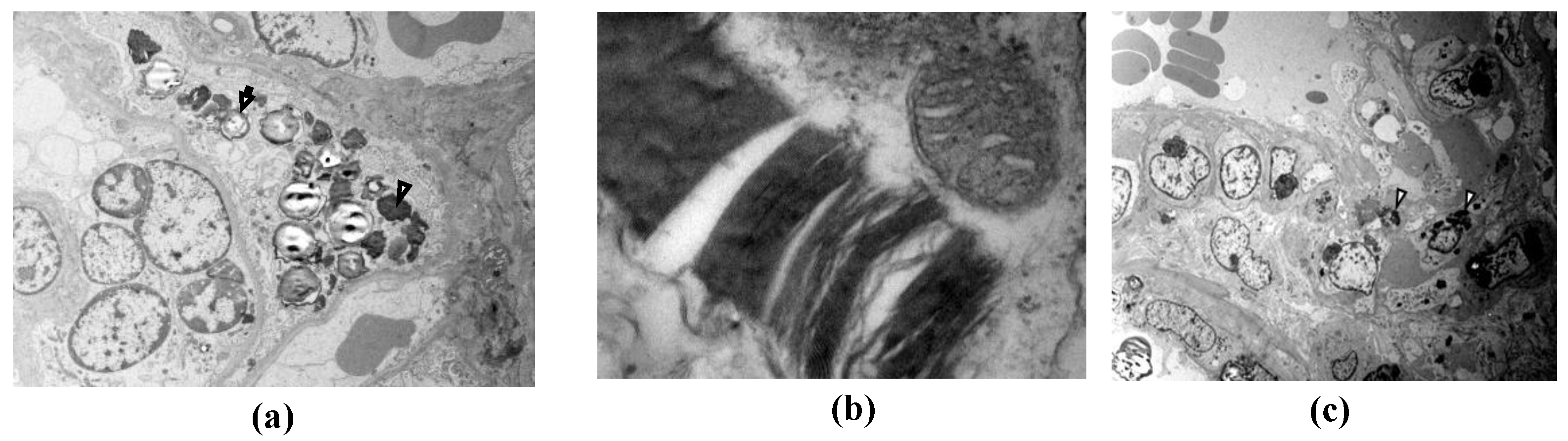 Preprints 209419 g005