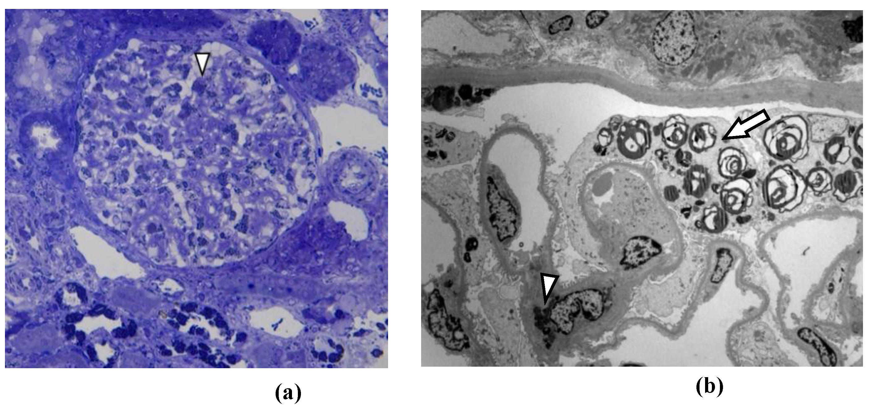 Preprints 209419 g007