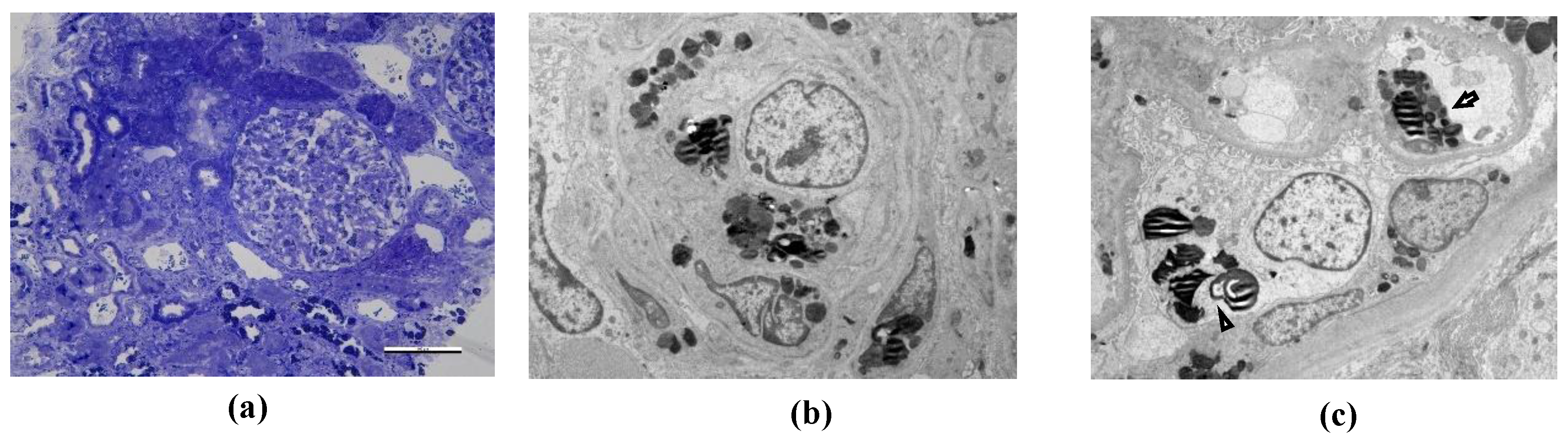 Preprints 209419 g008