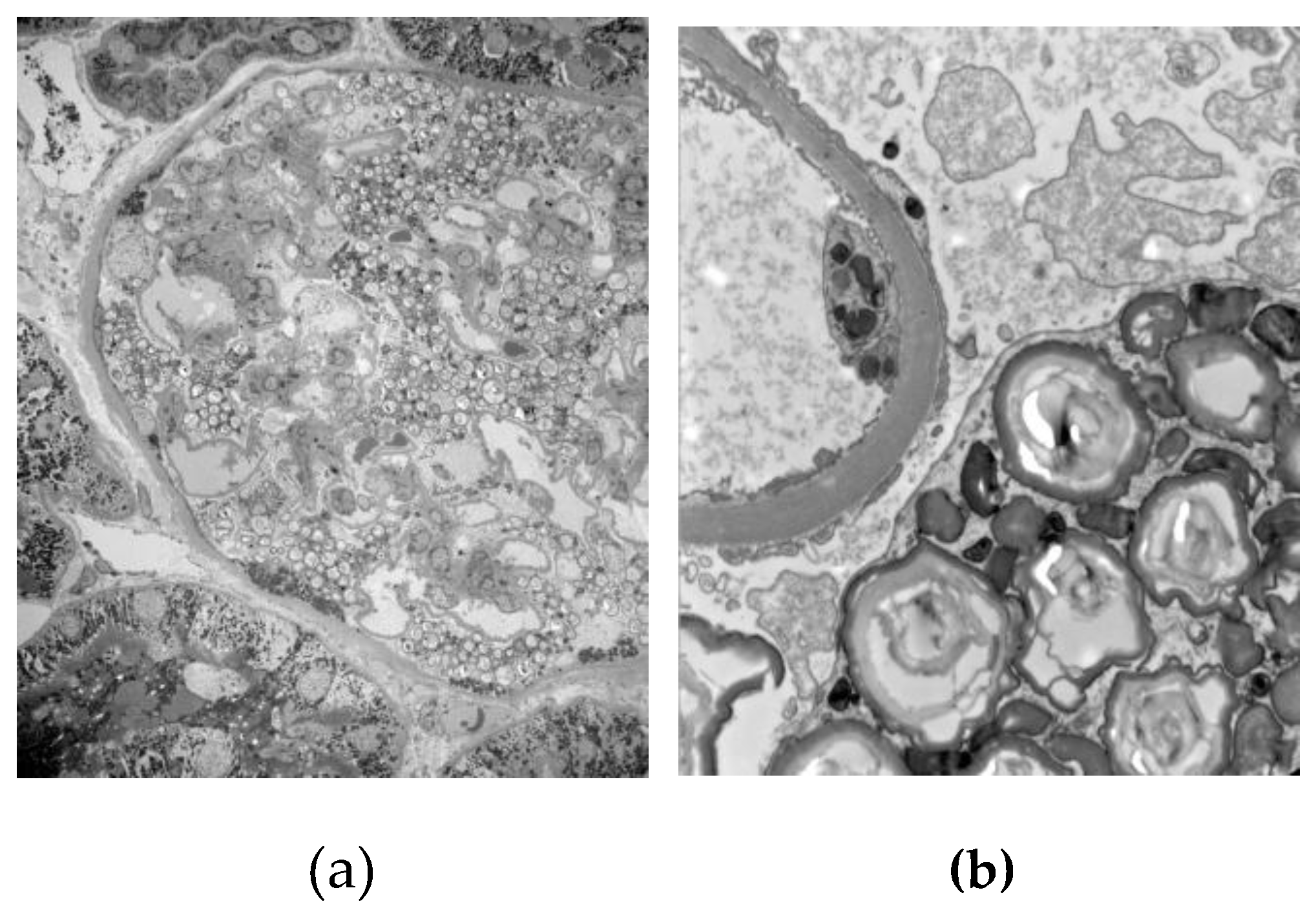 Preprints 209419 g009