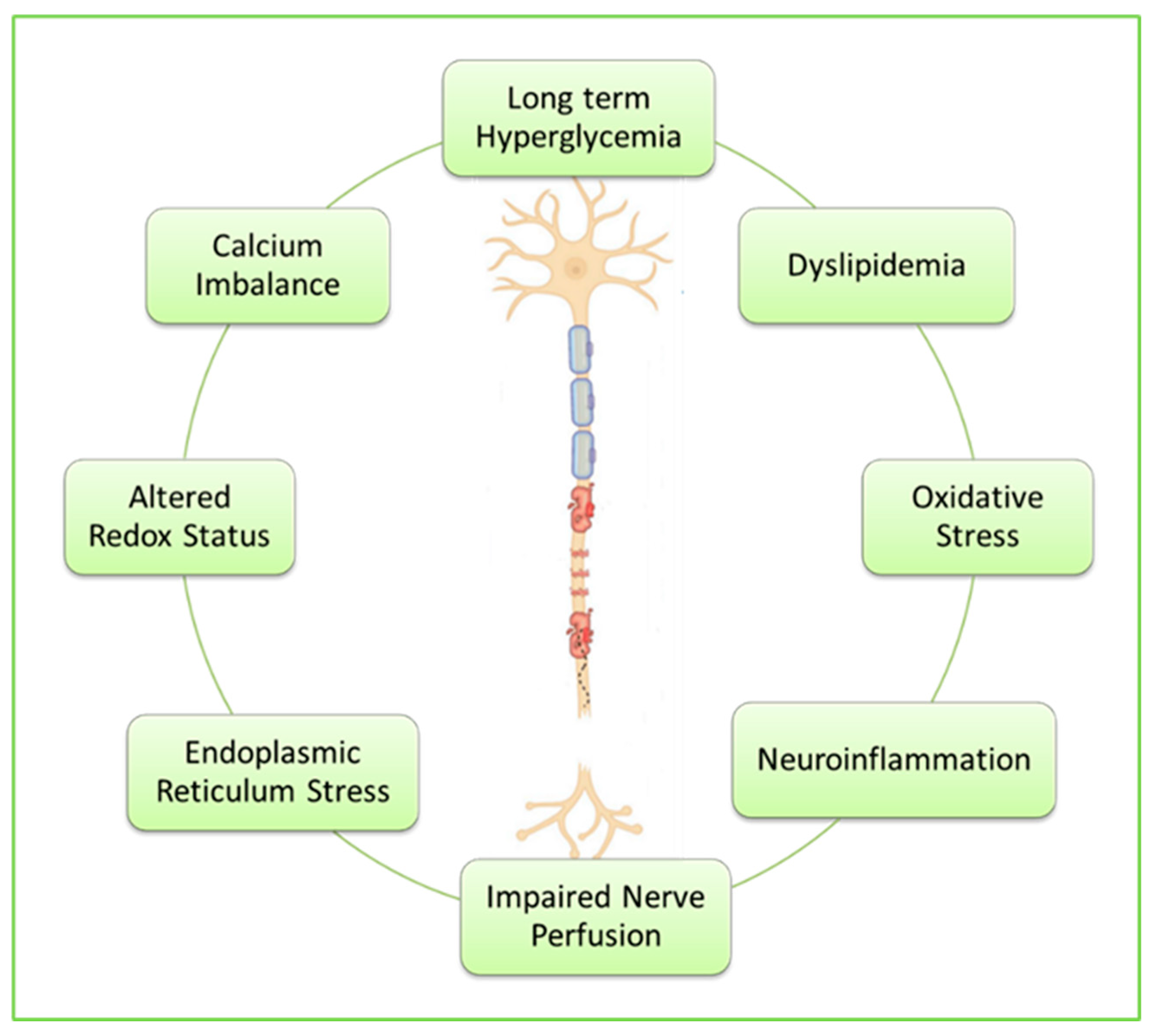 Preprints 147259 g004