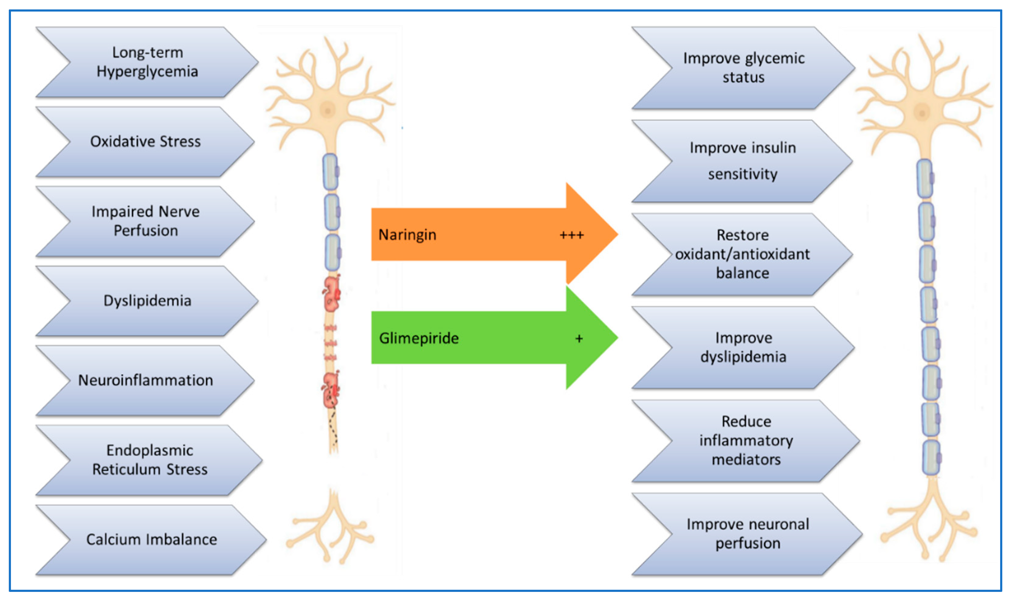 Preprints 147259 g005