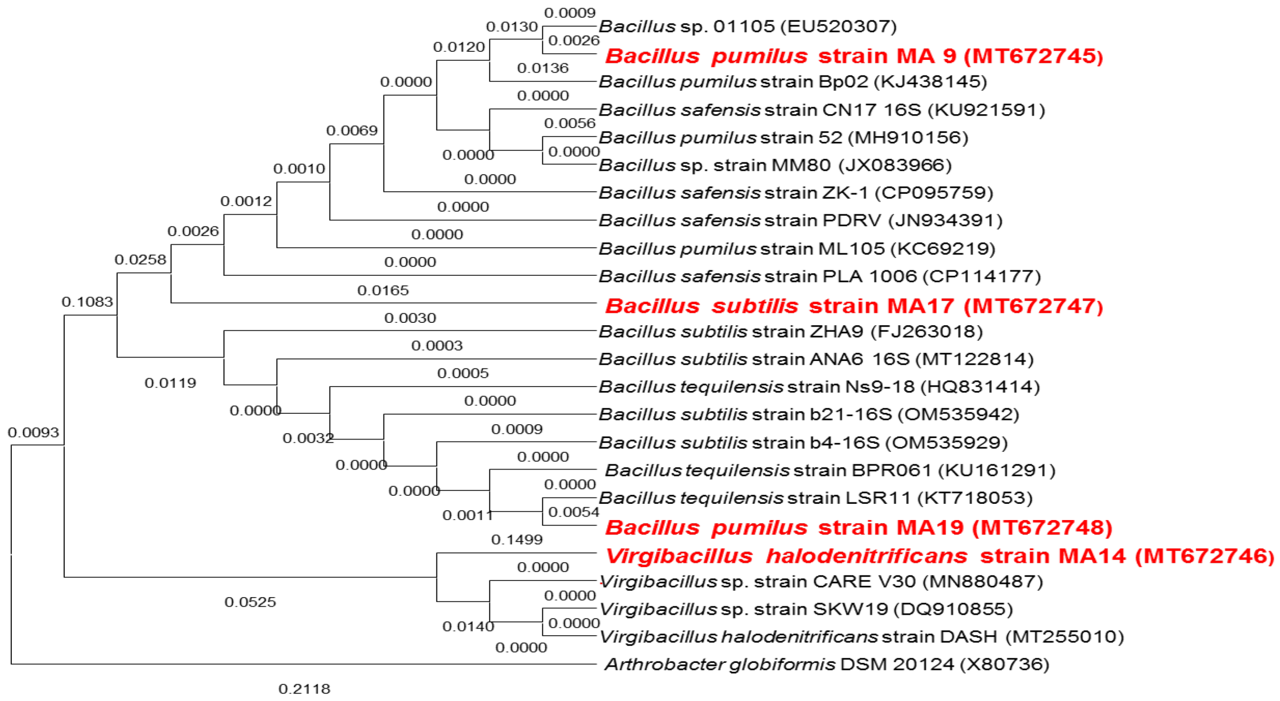 Preprints 197533 g001