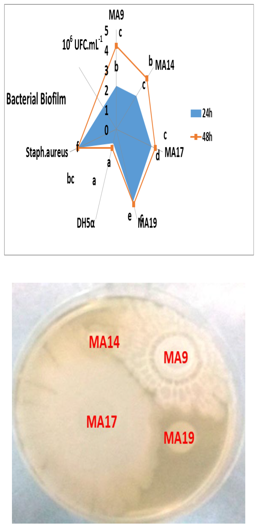 Preprints 197533 g004