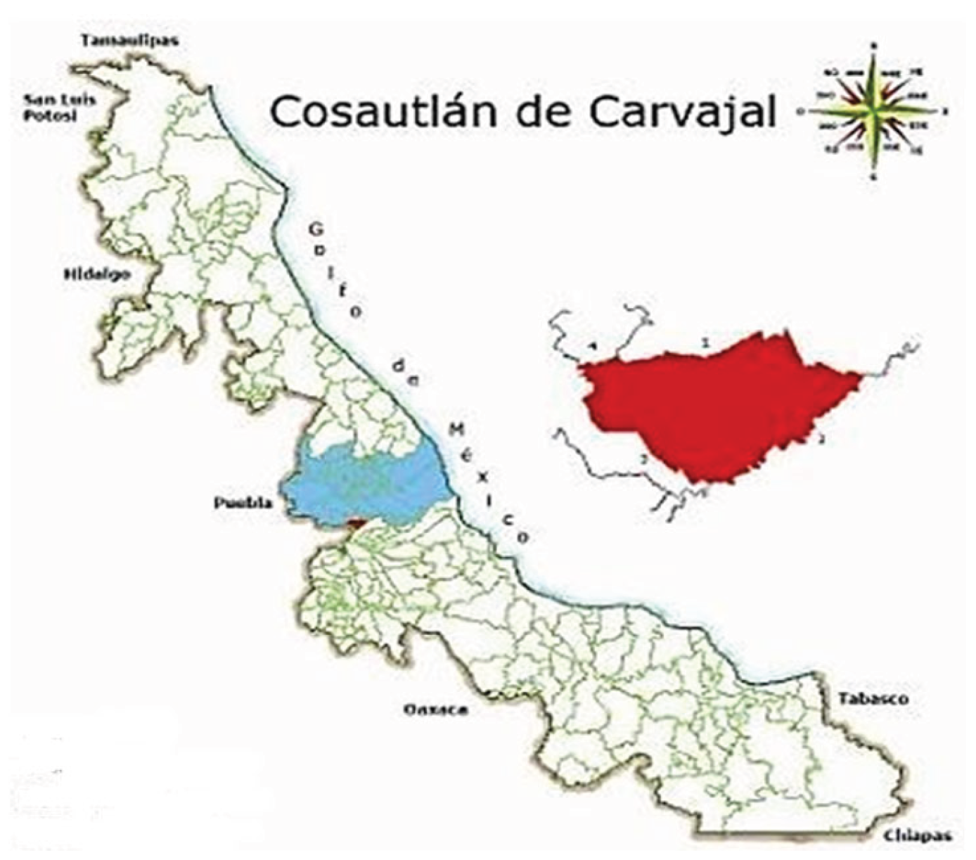 Preprints 194764 g001