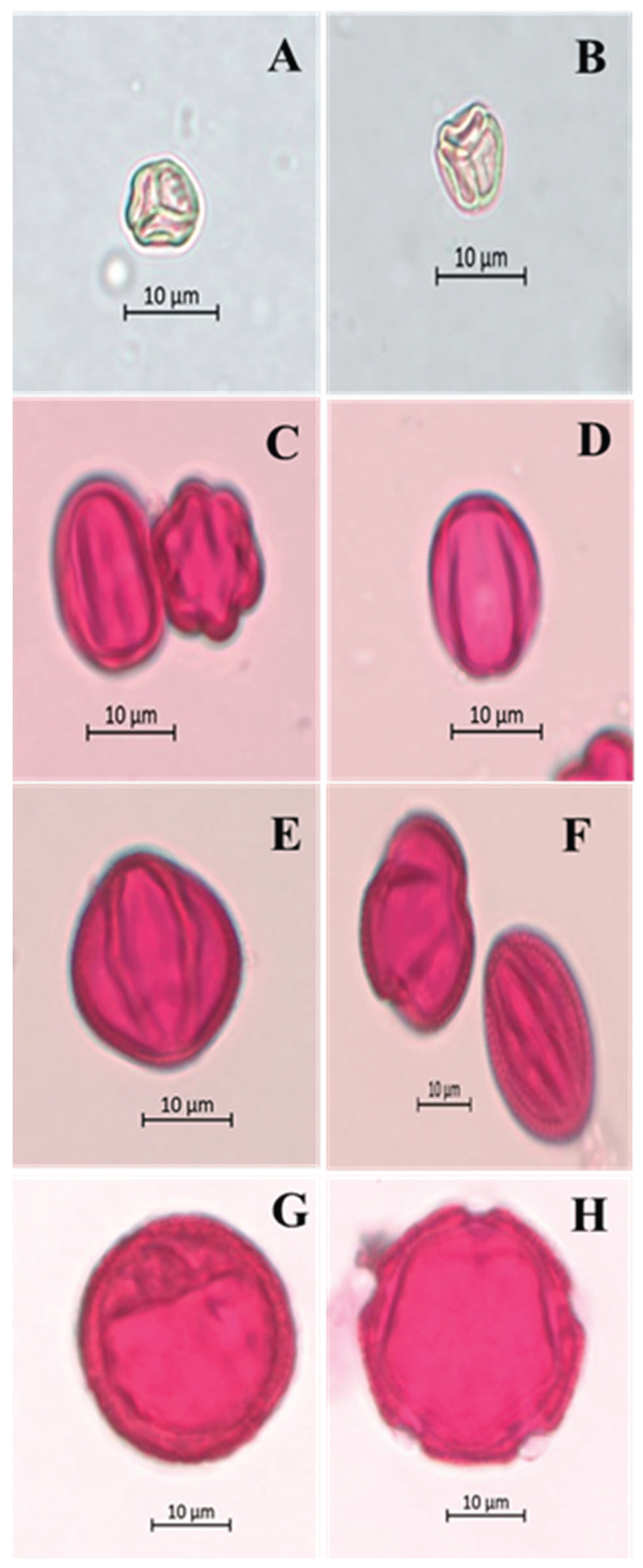 Preprints 194764 g004