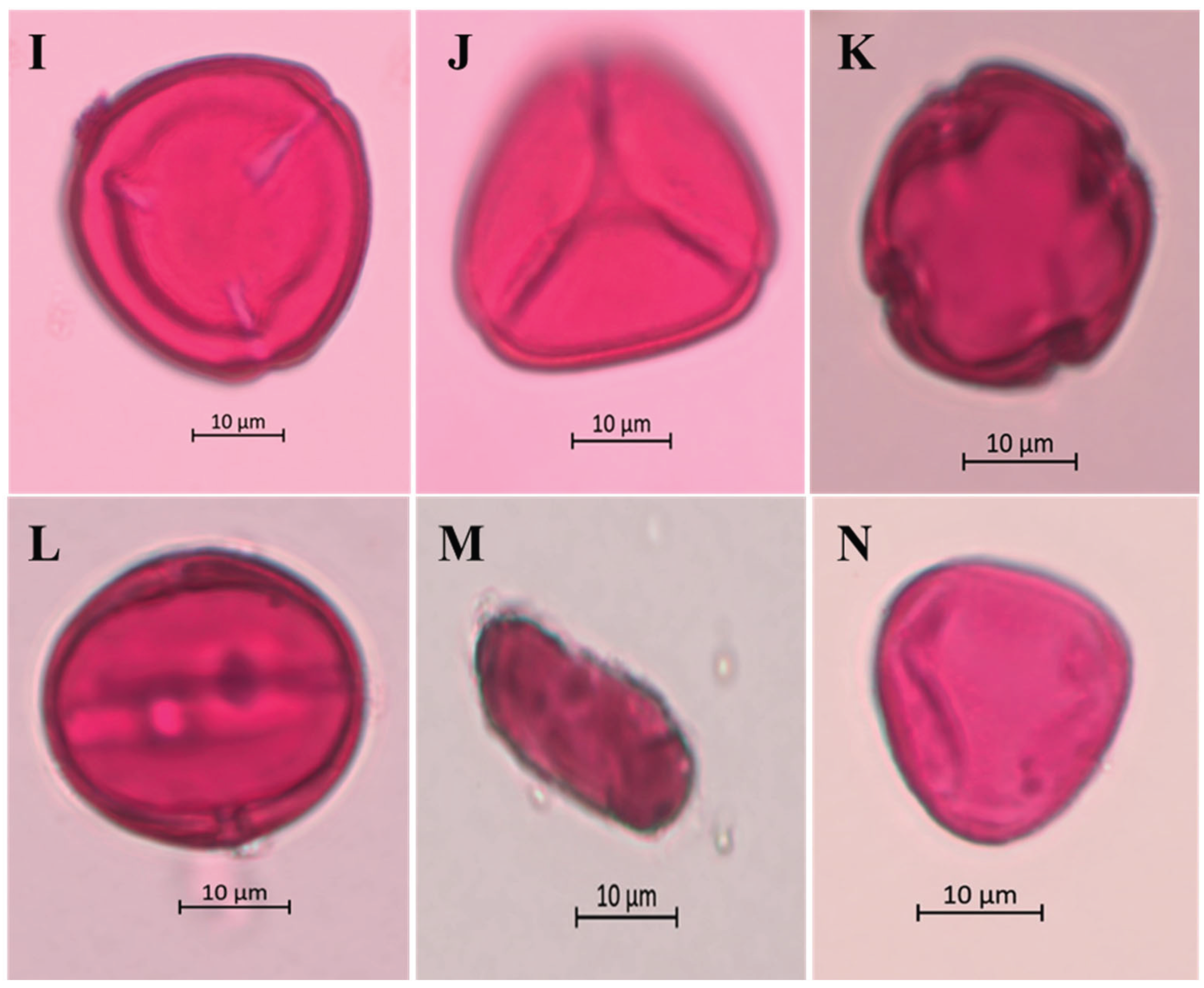 Preprints 194764 g005