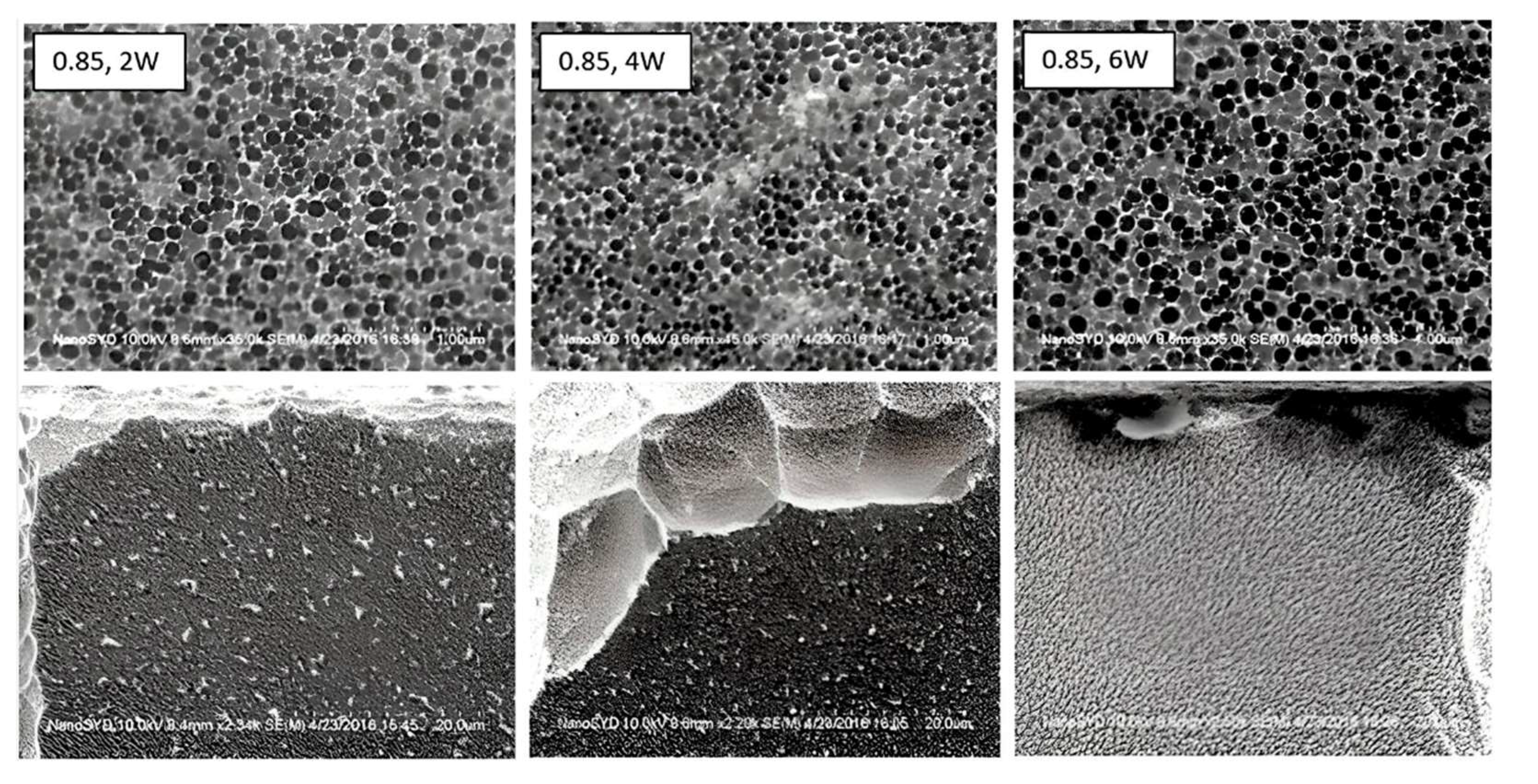 Preprints 140691 g015