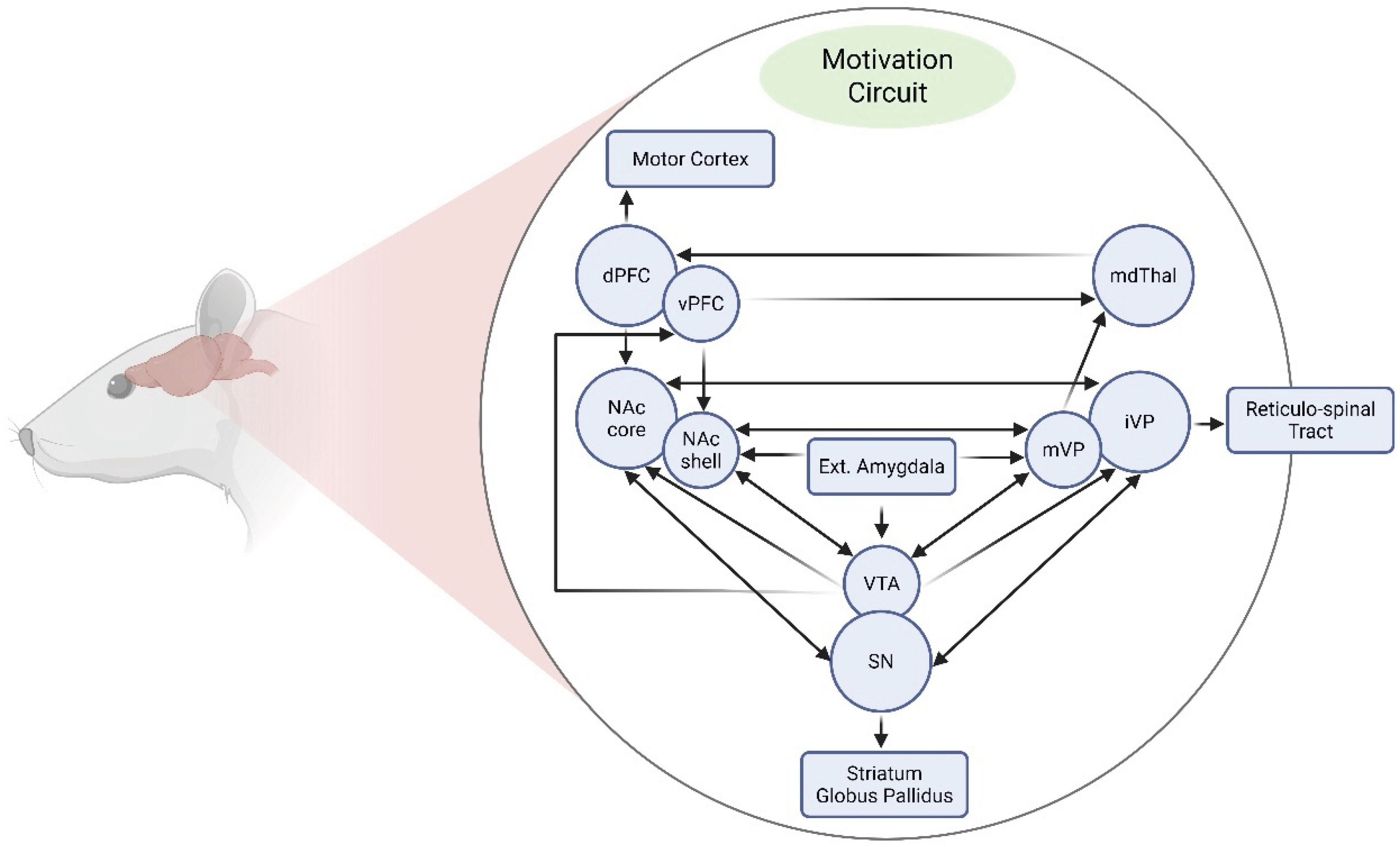 Preprints 187268 g001