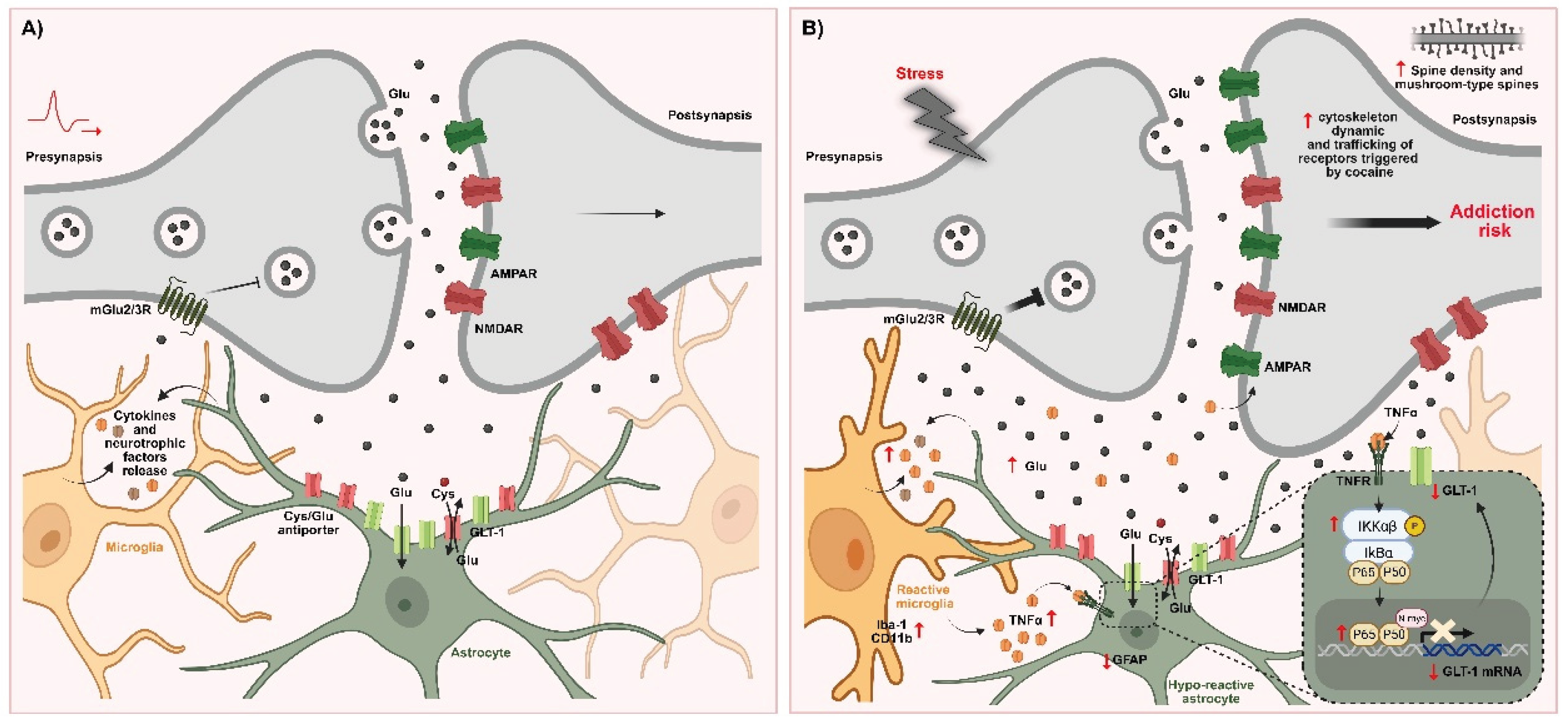 Preprints 187268 g002
