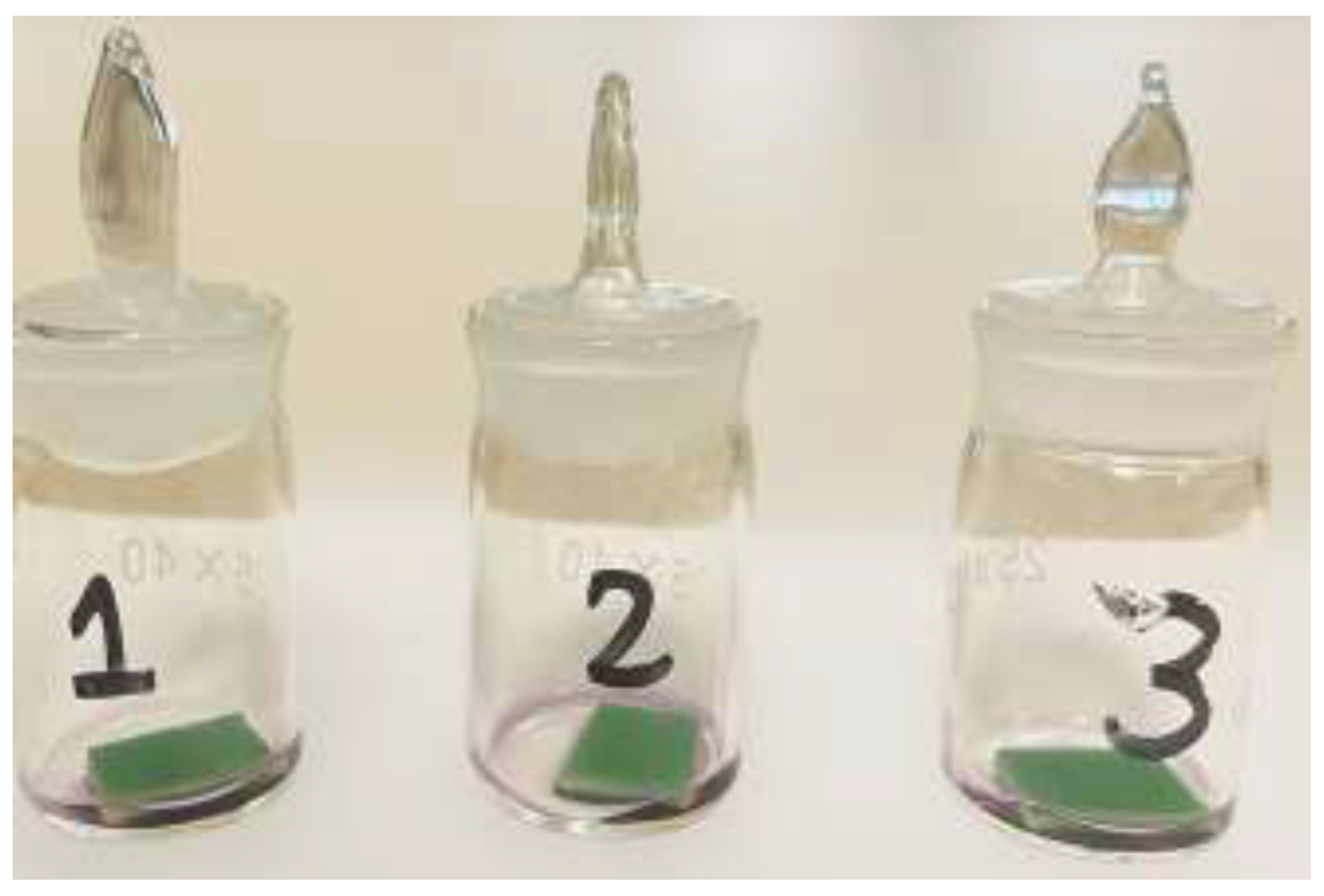 Preprints 196638 g005