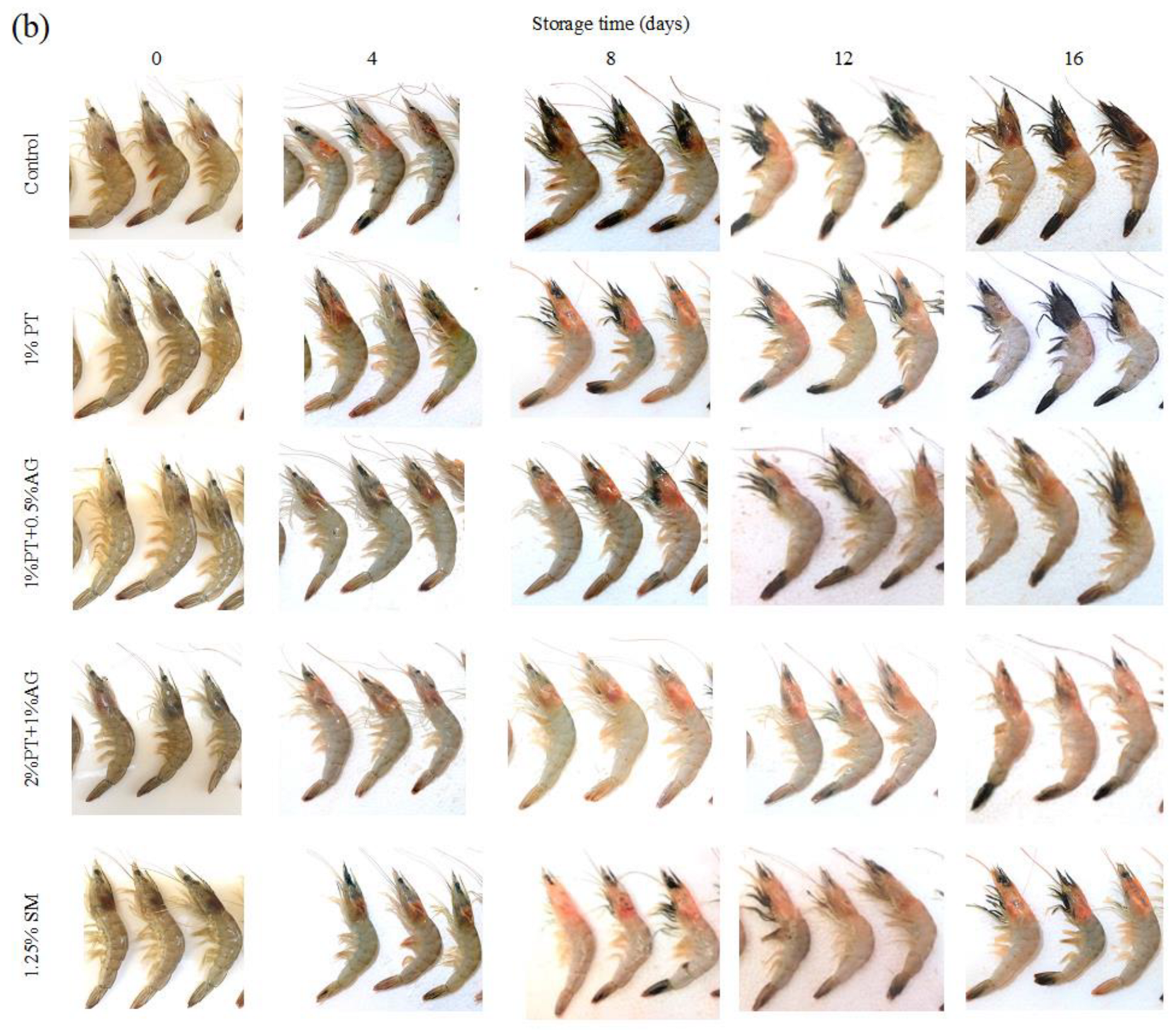 Preprints 179607 g002b