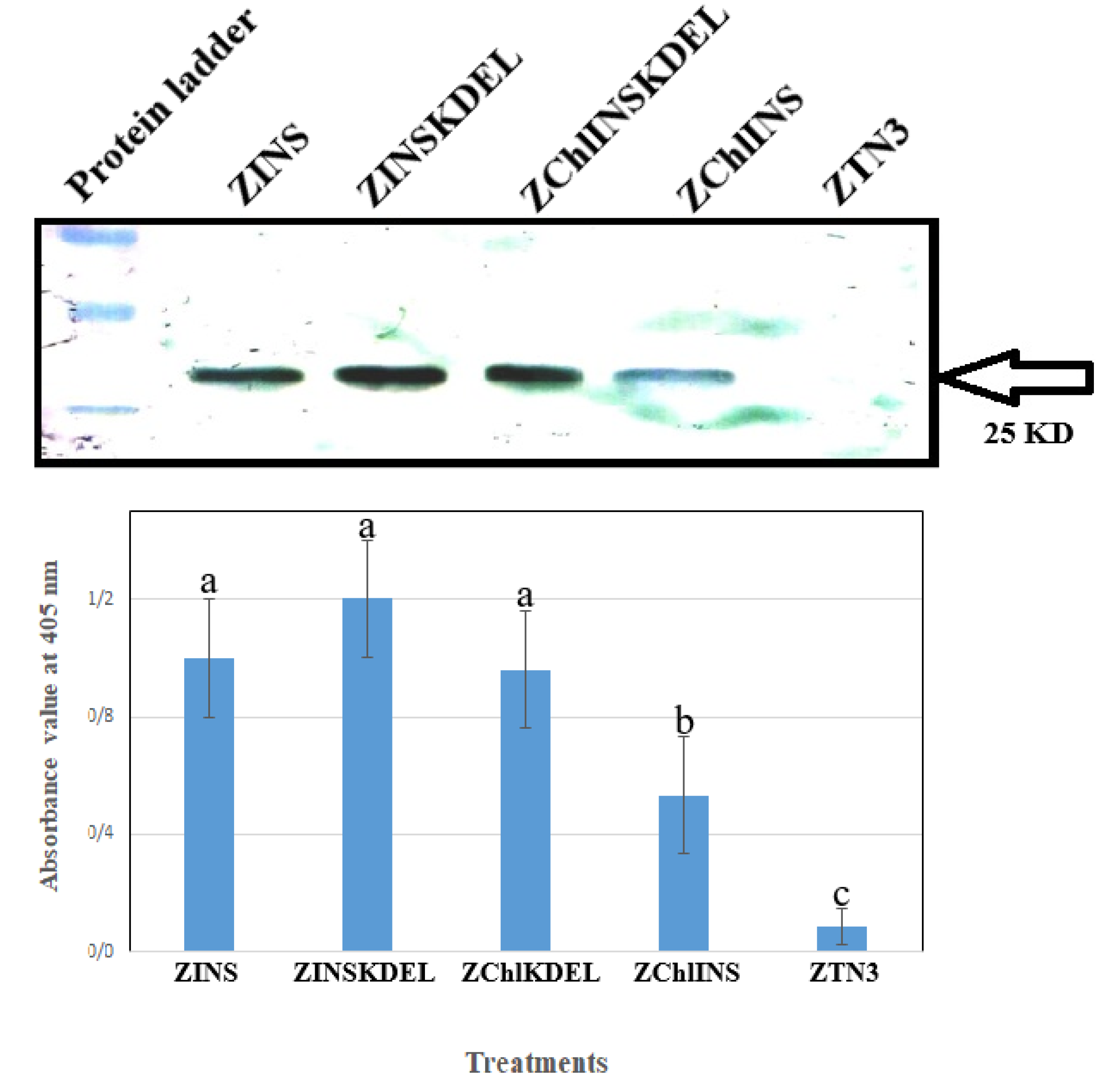 Preprints 181539 g004