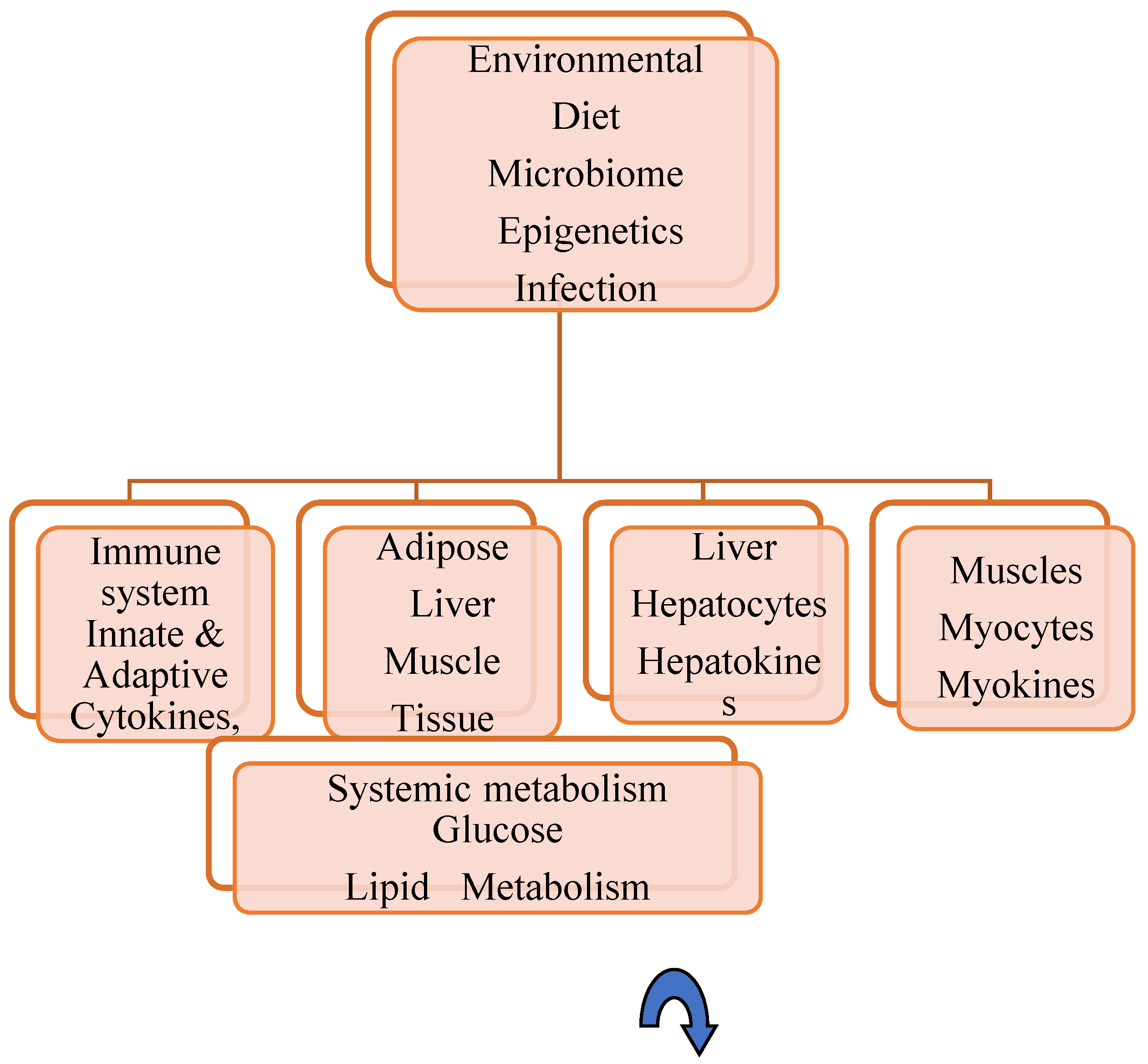Preprints 190642 g001