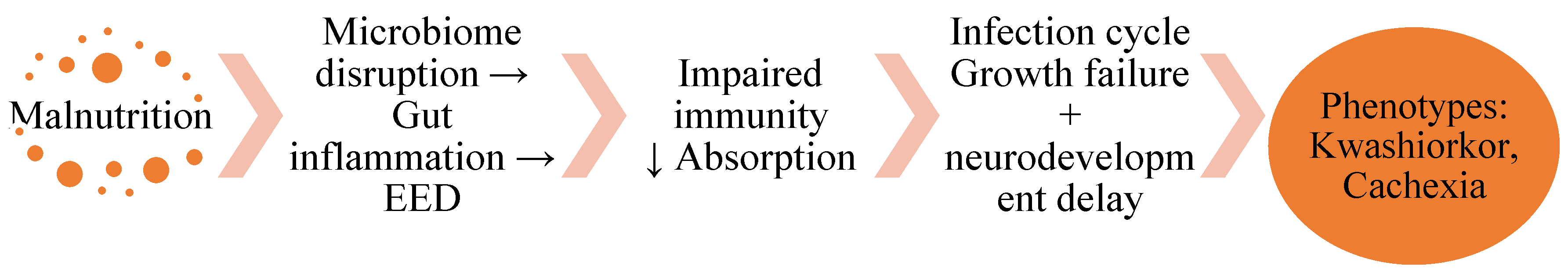 Preprints 190642 g005