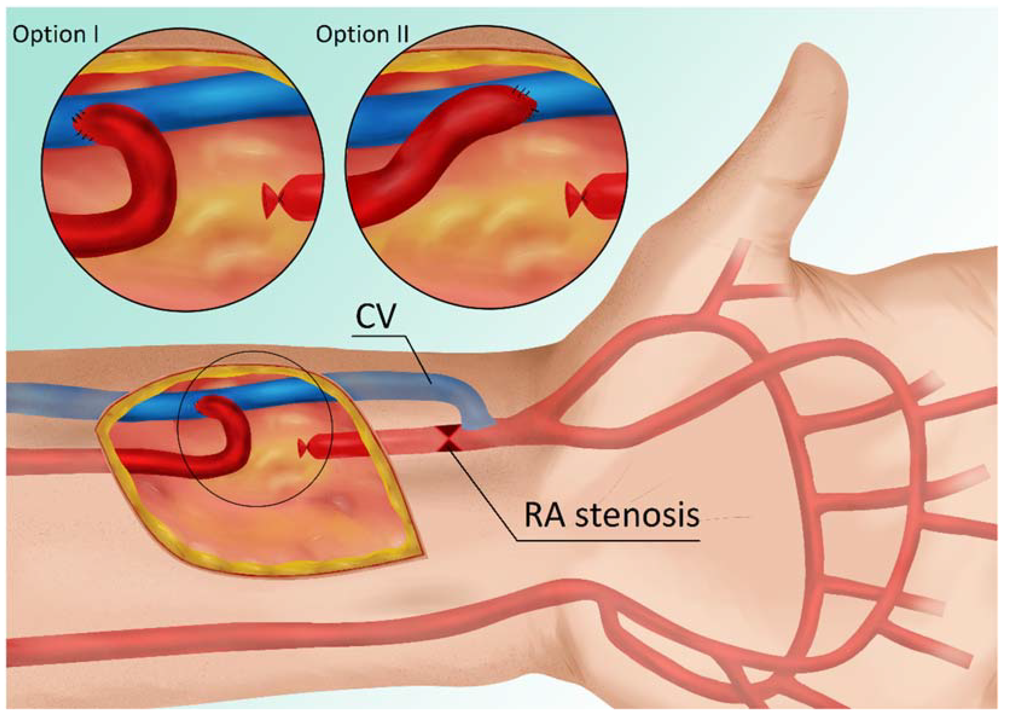 Preprints 85062 g001