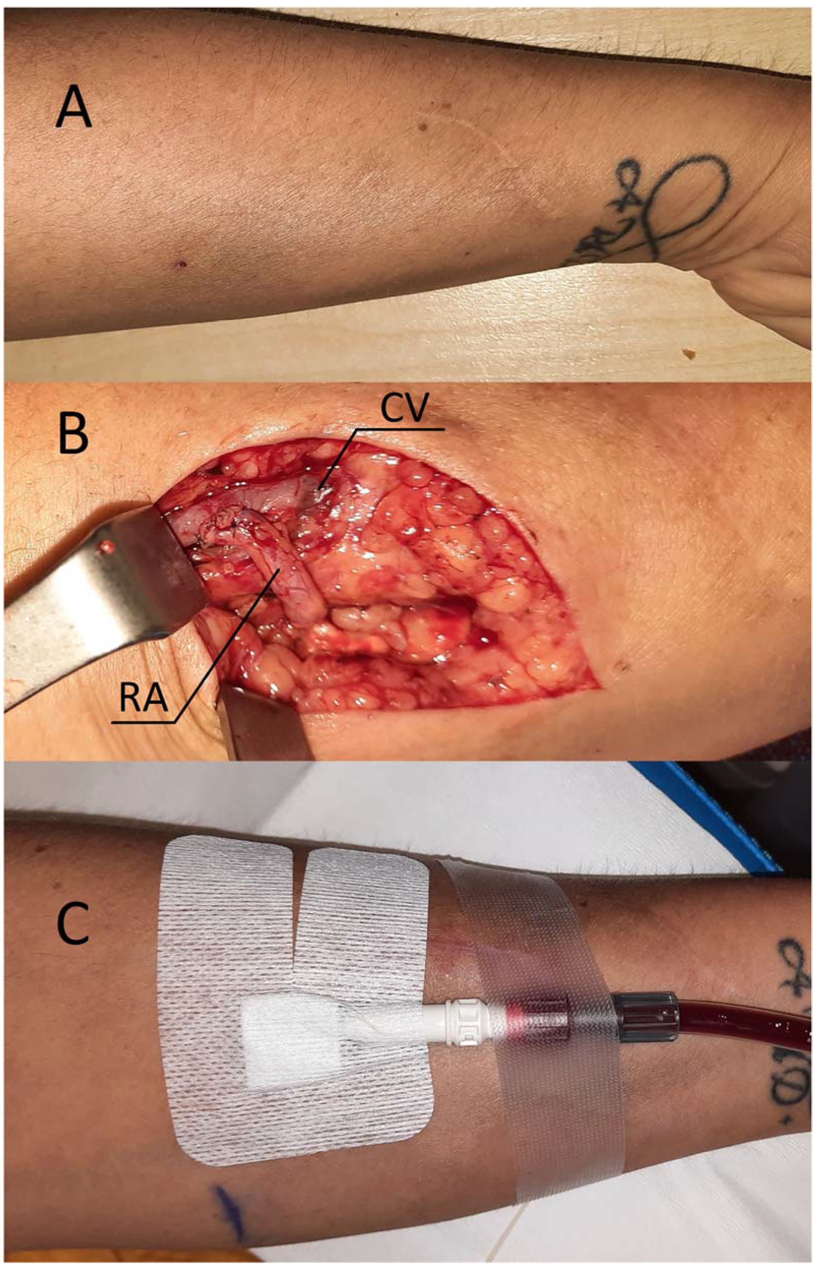 Preprints 85062 g002