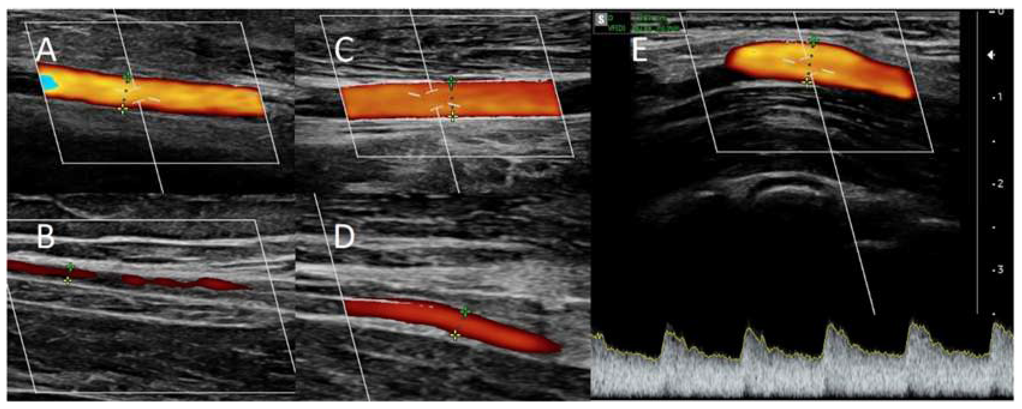 Preprints 85062 g003