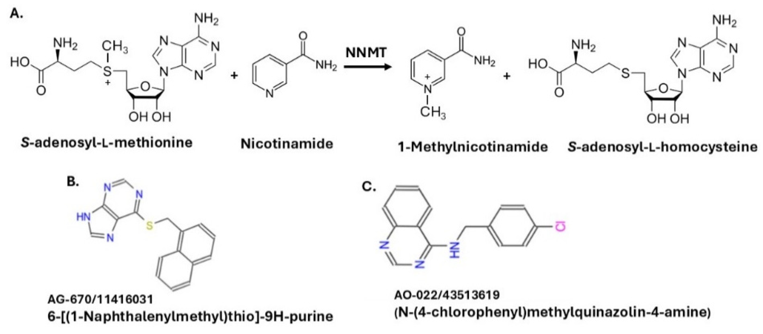 Preprints 198745 g001