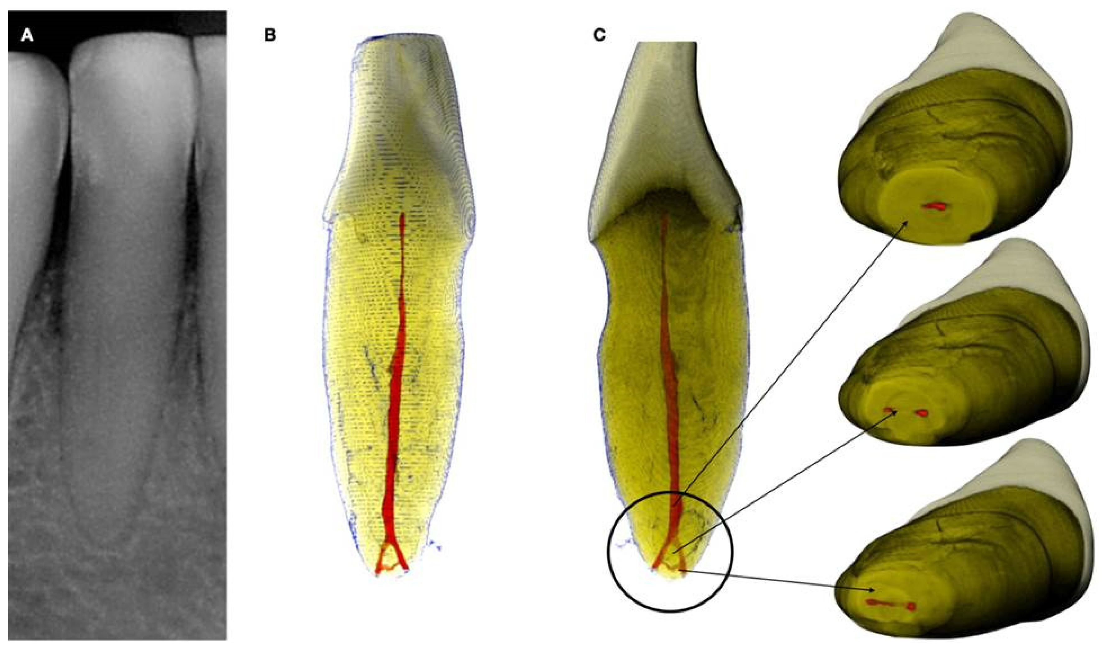 Preprints 101803 g001