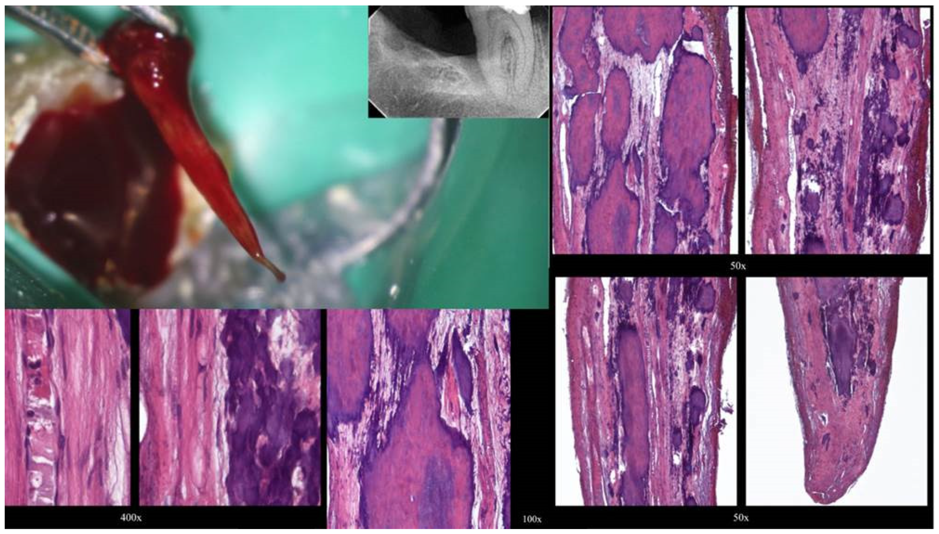 Preprints 101803 g003