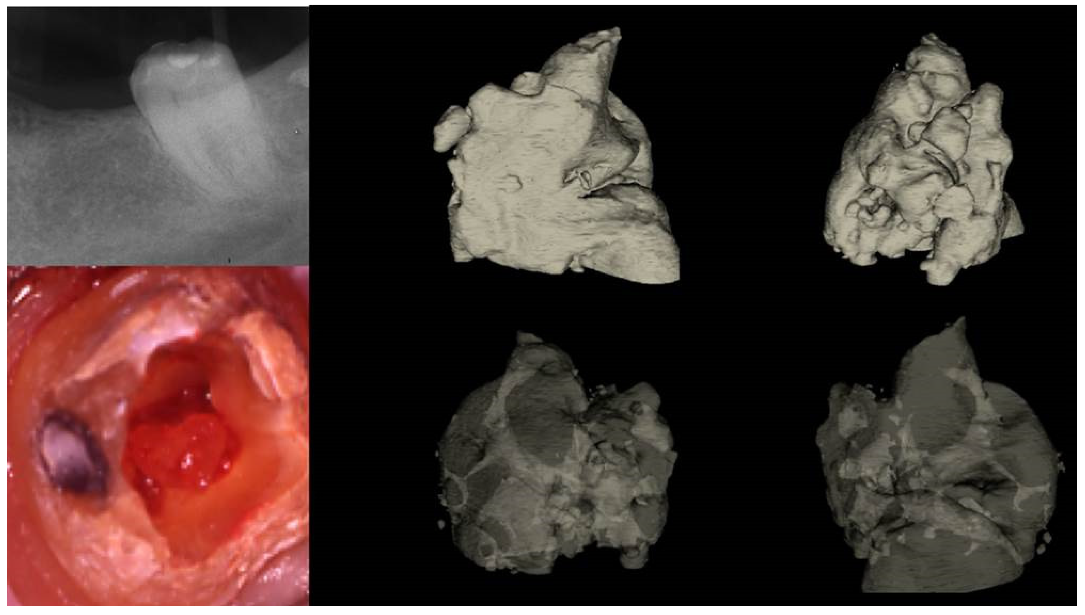 Preprints 101803 g004